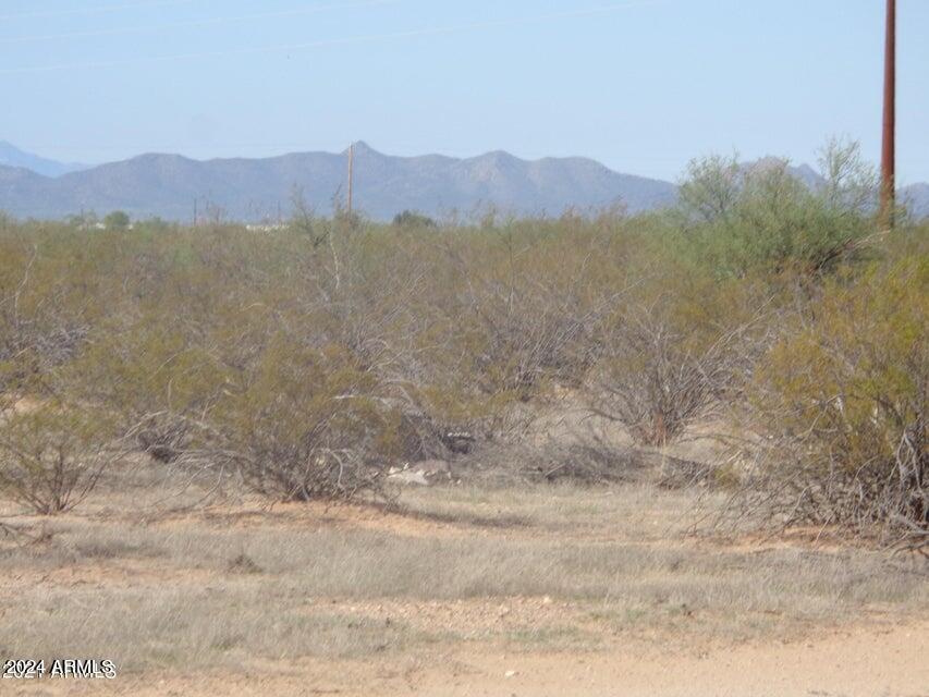 0 N Saltbush Road Property Photo 1