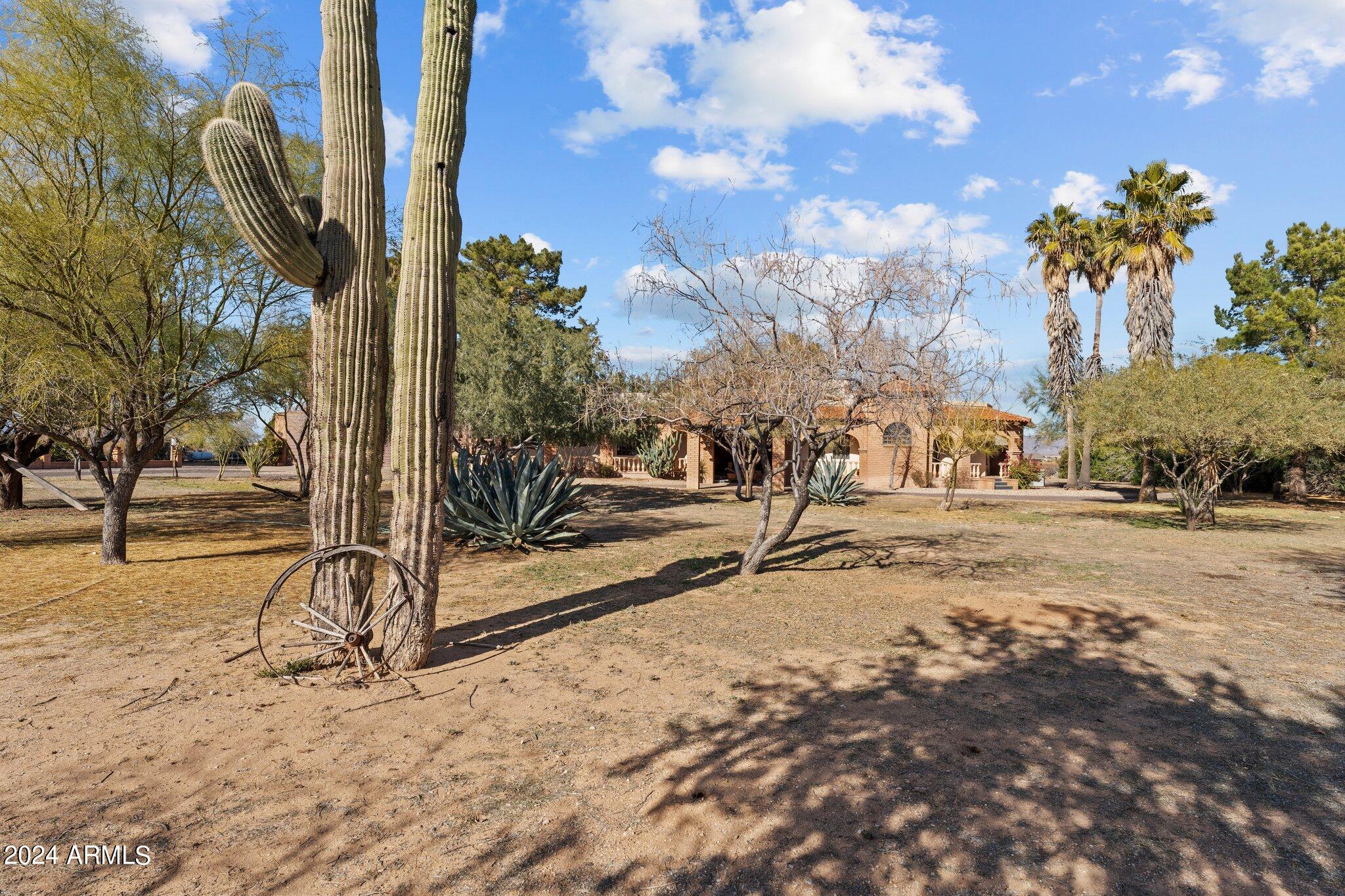 51414 W Pete Road Property Photo 65