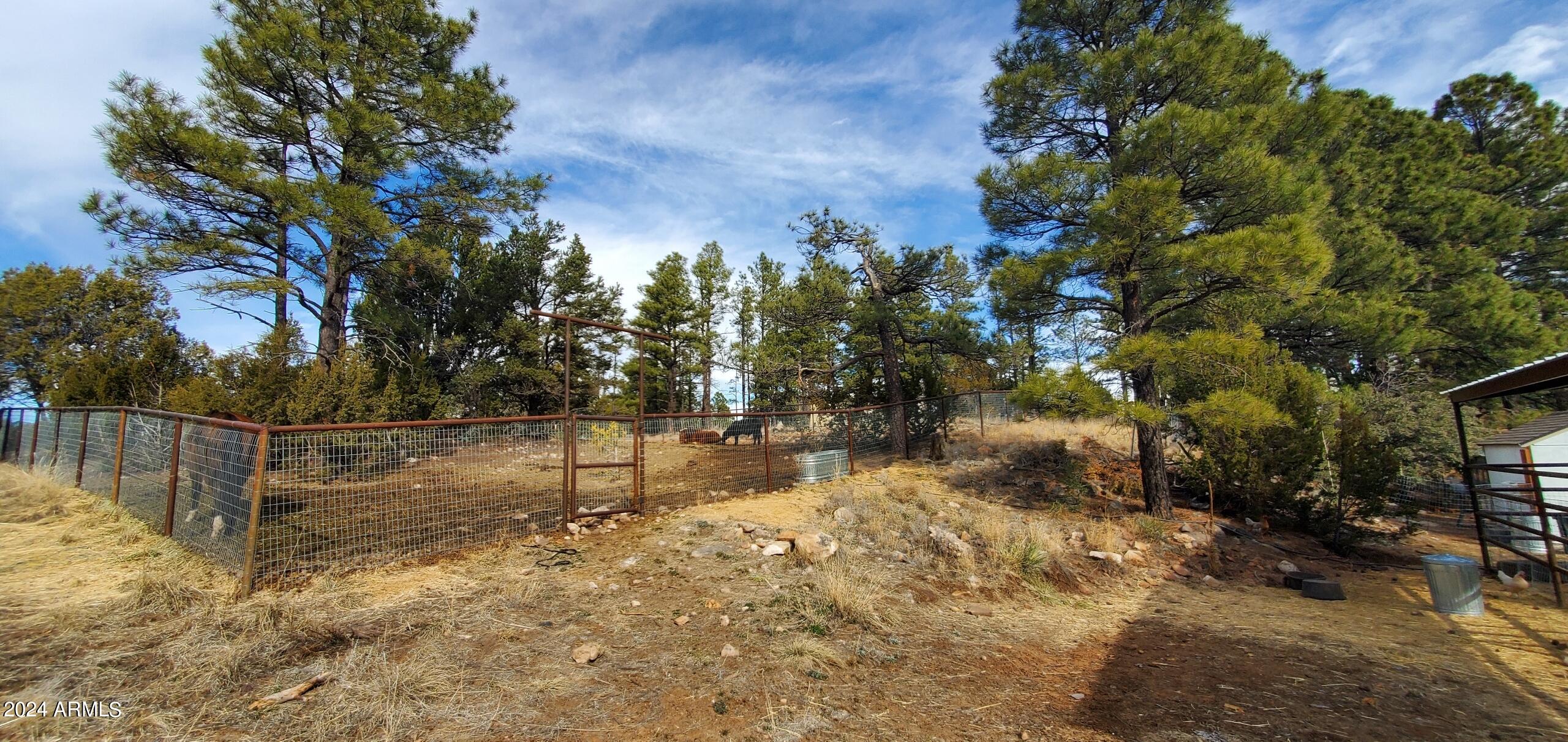 837 Jokers Wild Property Photo 38