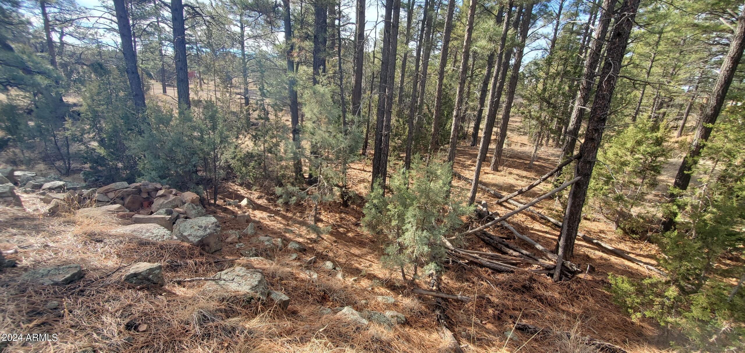 837 Jokers Wild Property Photo 40