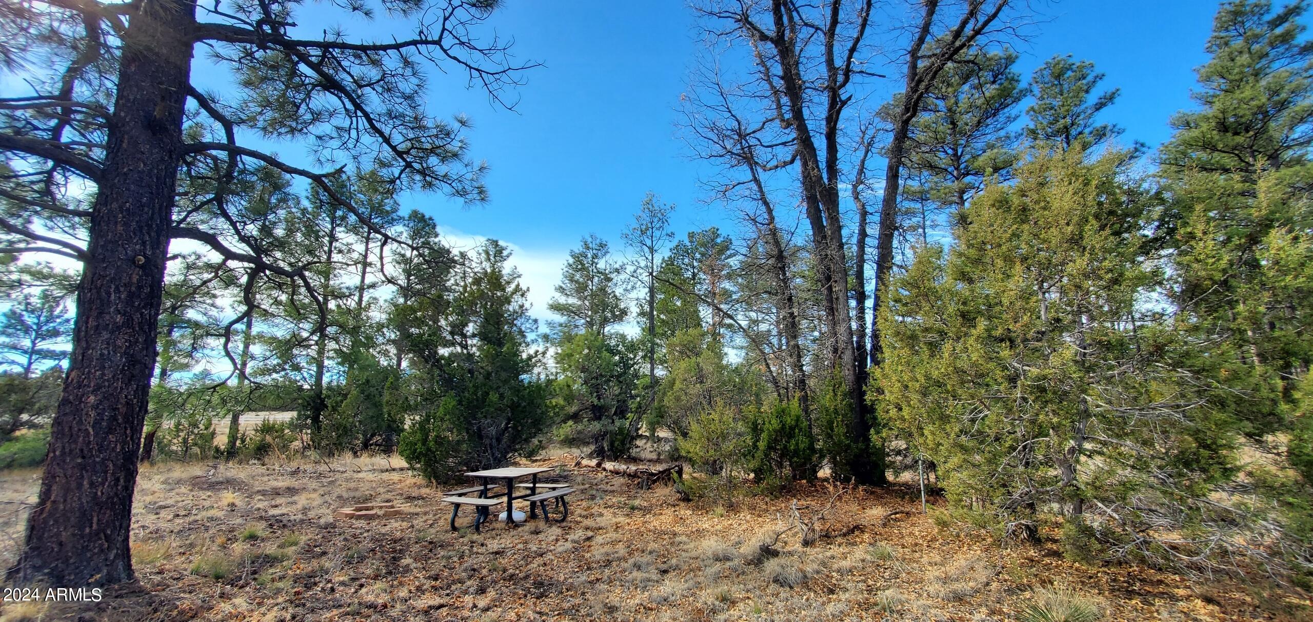837 Jokers Wild Property Photo 42