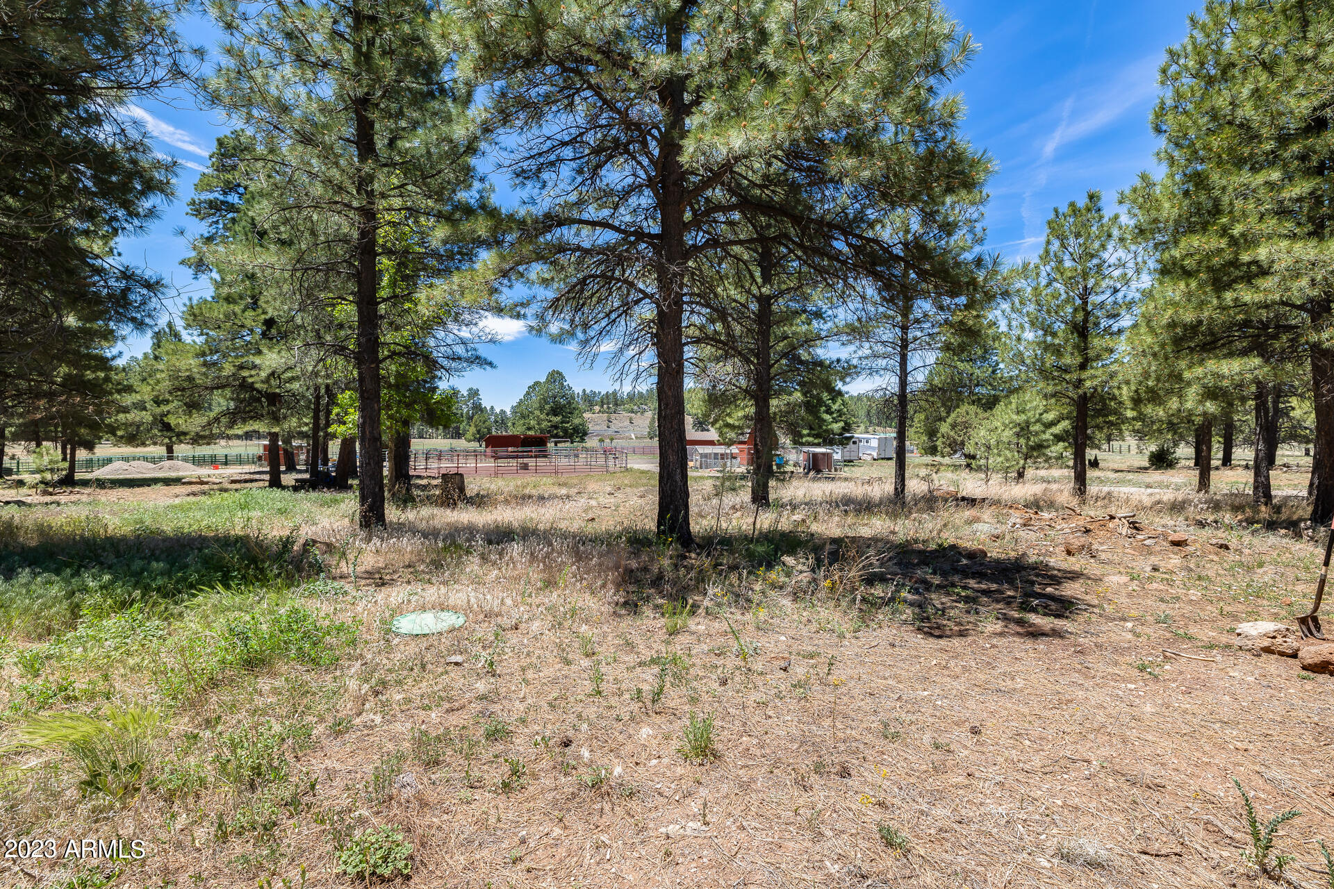 22770 Fox Ranch Road Property Photo 67
