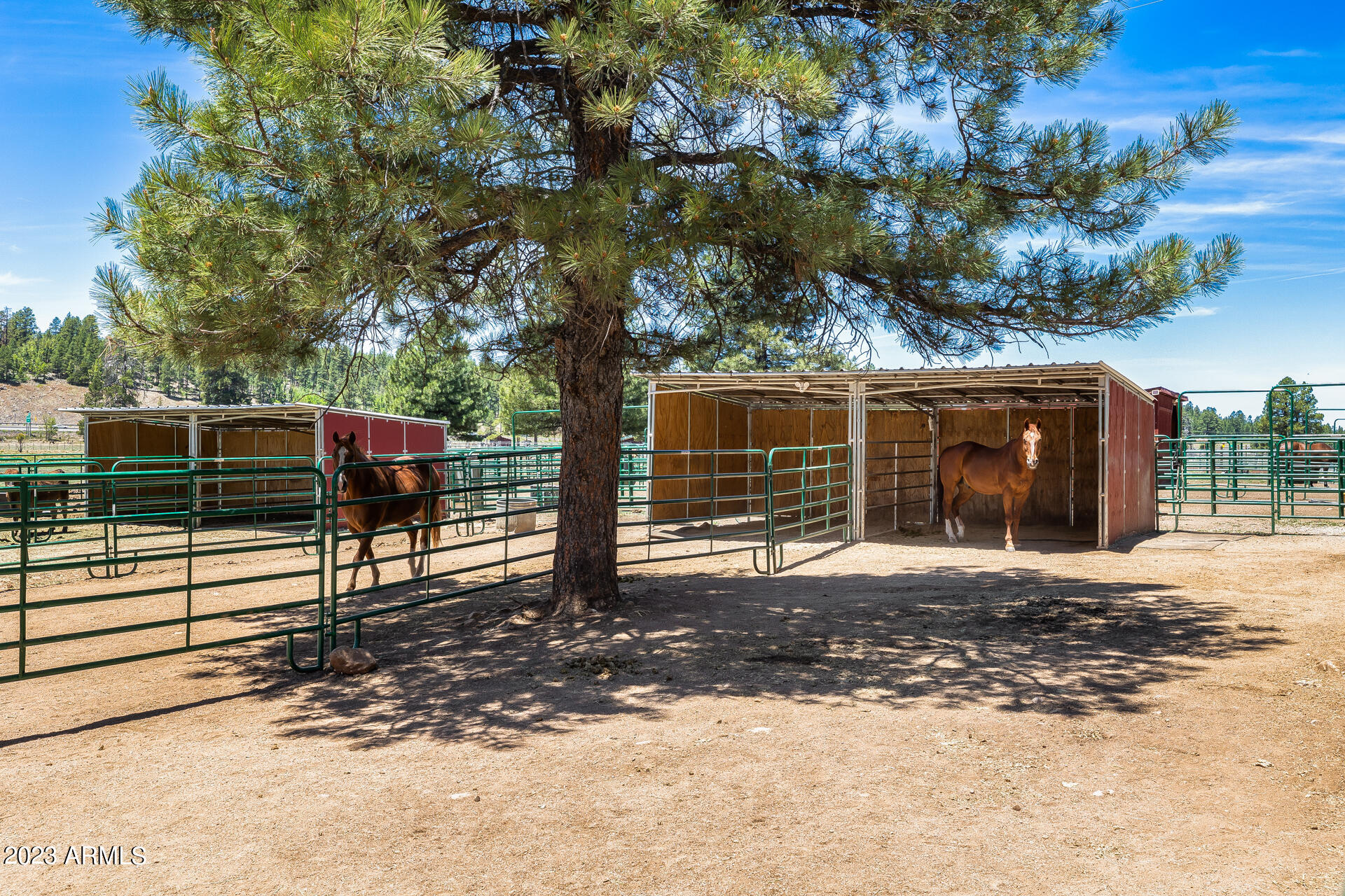22770 Fox Ranch Road Property Photo 75