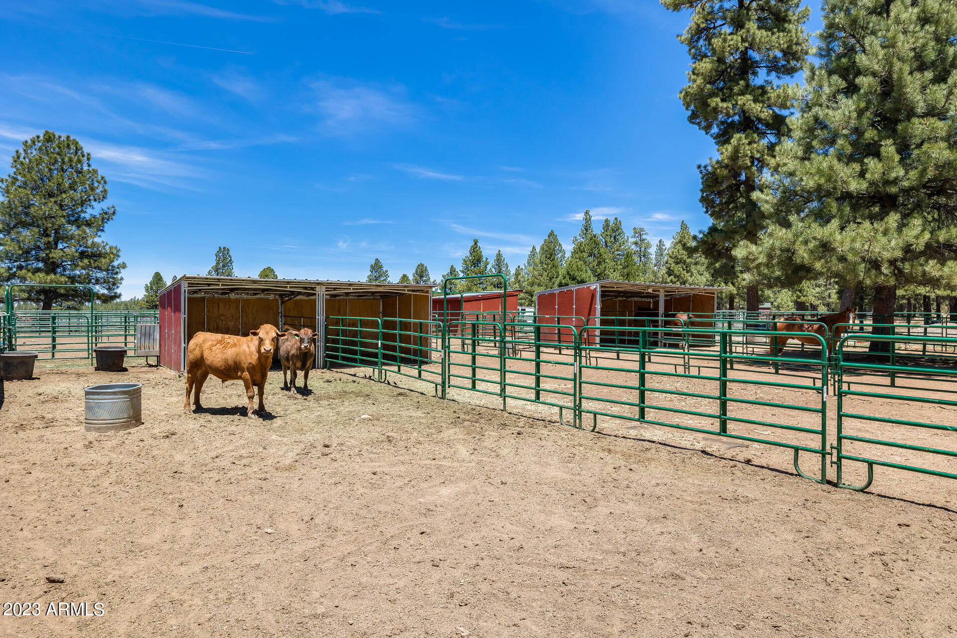 22770 Fox Ranch Road Property Photo 77