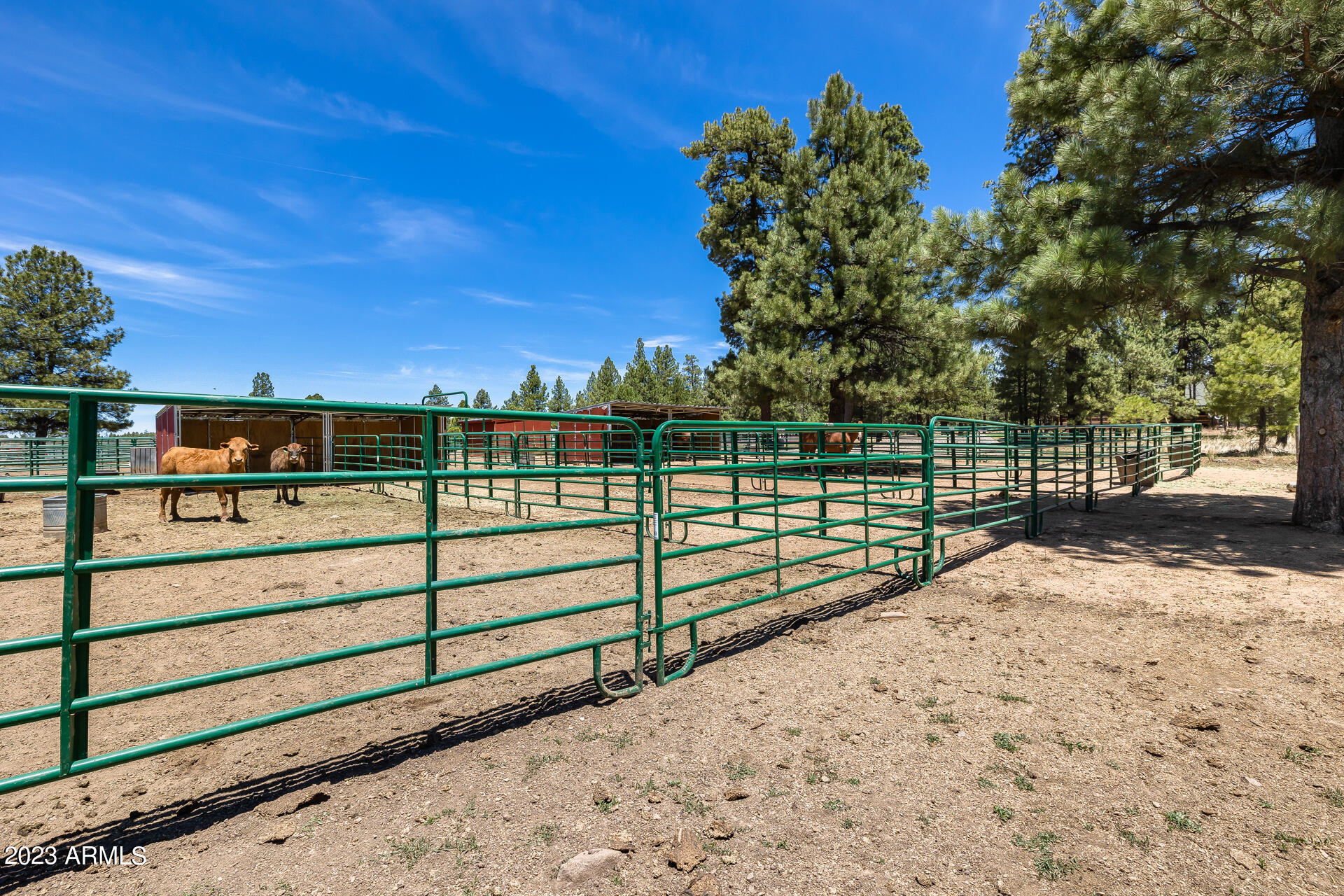 22770 Fox Ranch Road Property Photo 78