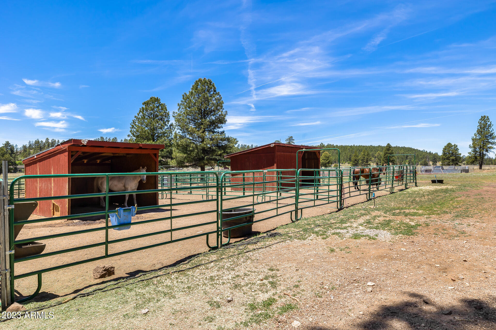 22770 Fox Ranch Road Property Photo 79