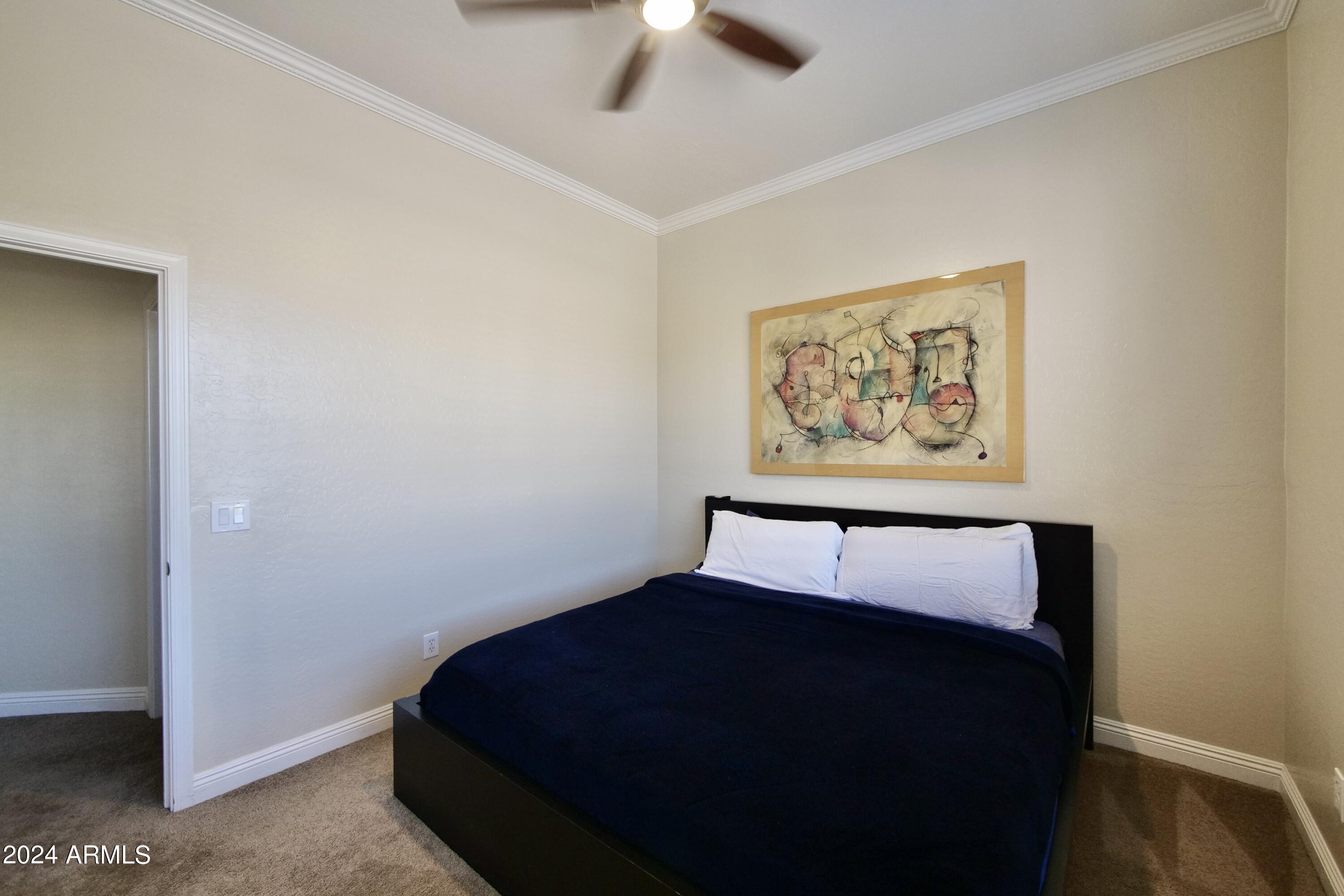 7271 E San Alfredo Drive E Property Photo 34