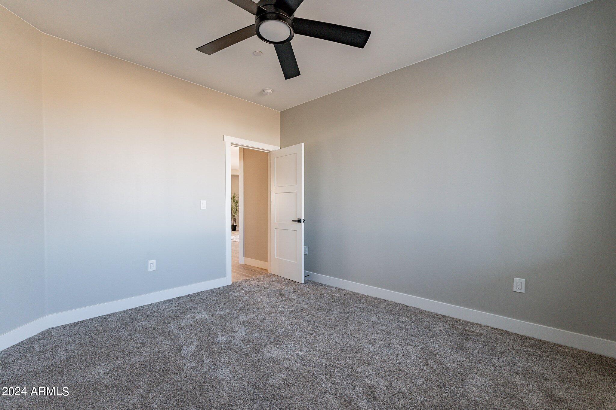 29318 N 163rd Drive Property Photo 45