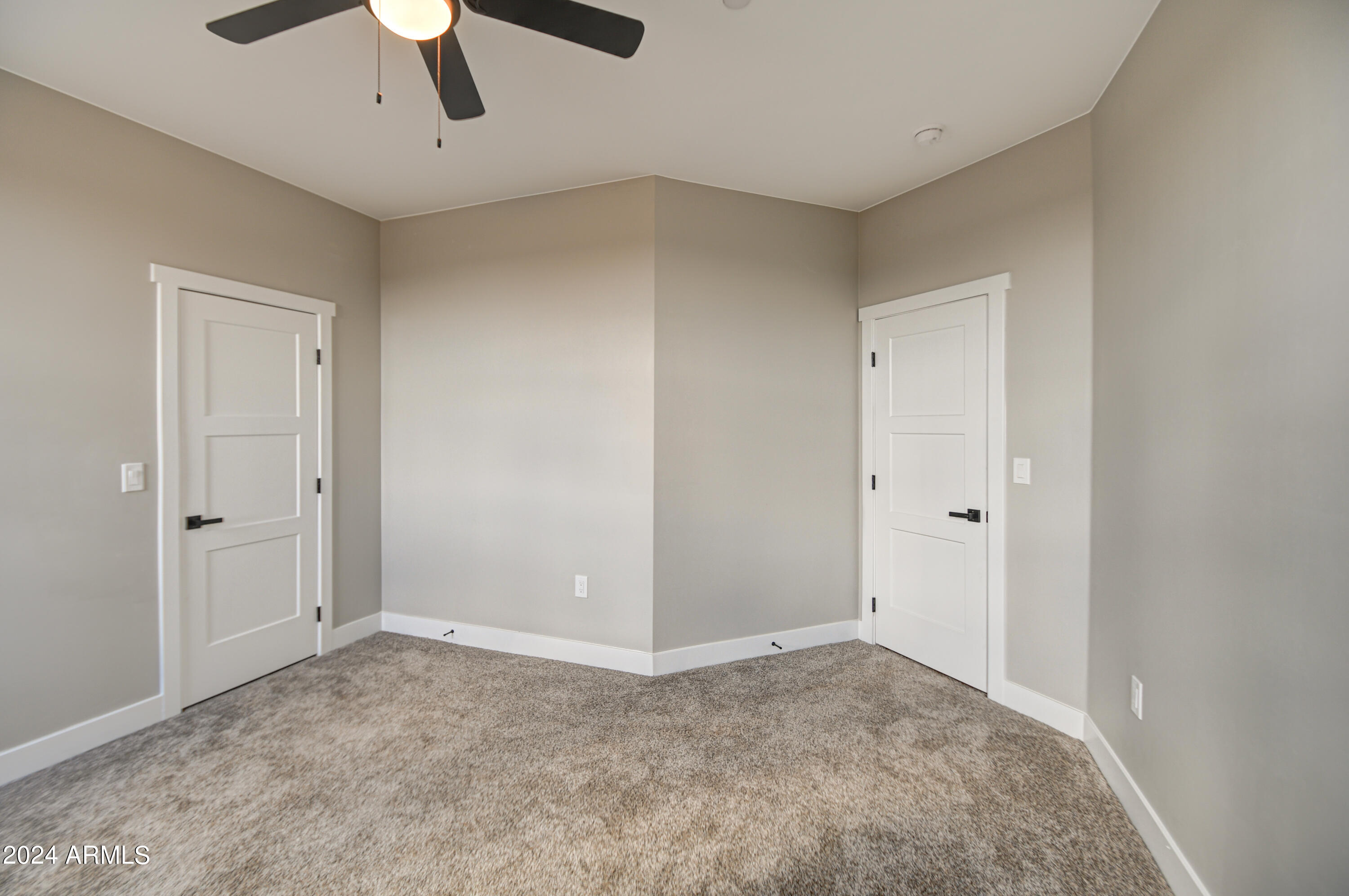 29318 N 163rd Drive Property Photo 46