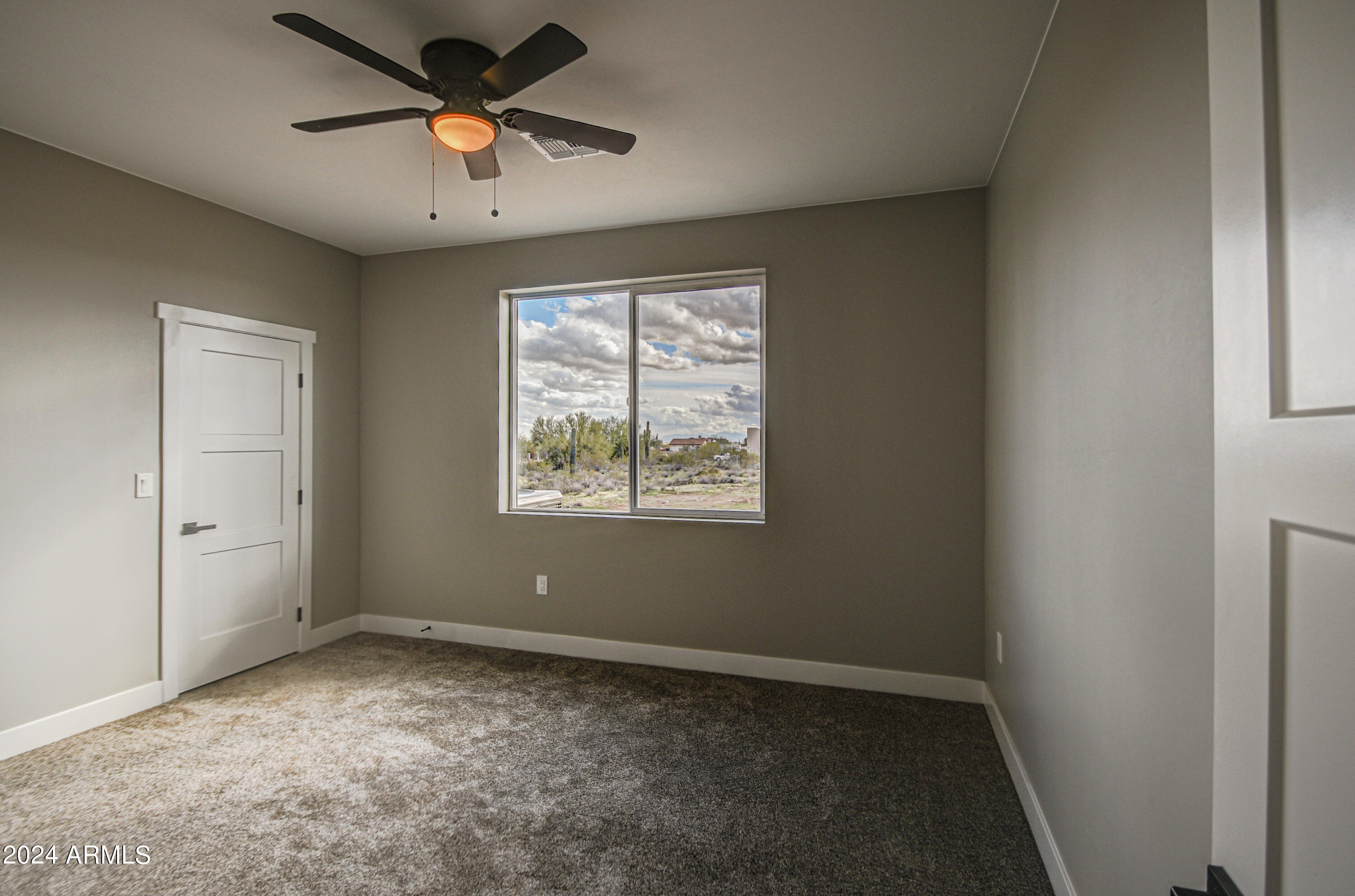 29318 N 163rd Drive Property Photo 47