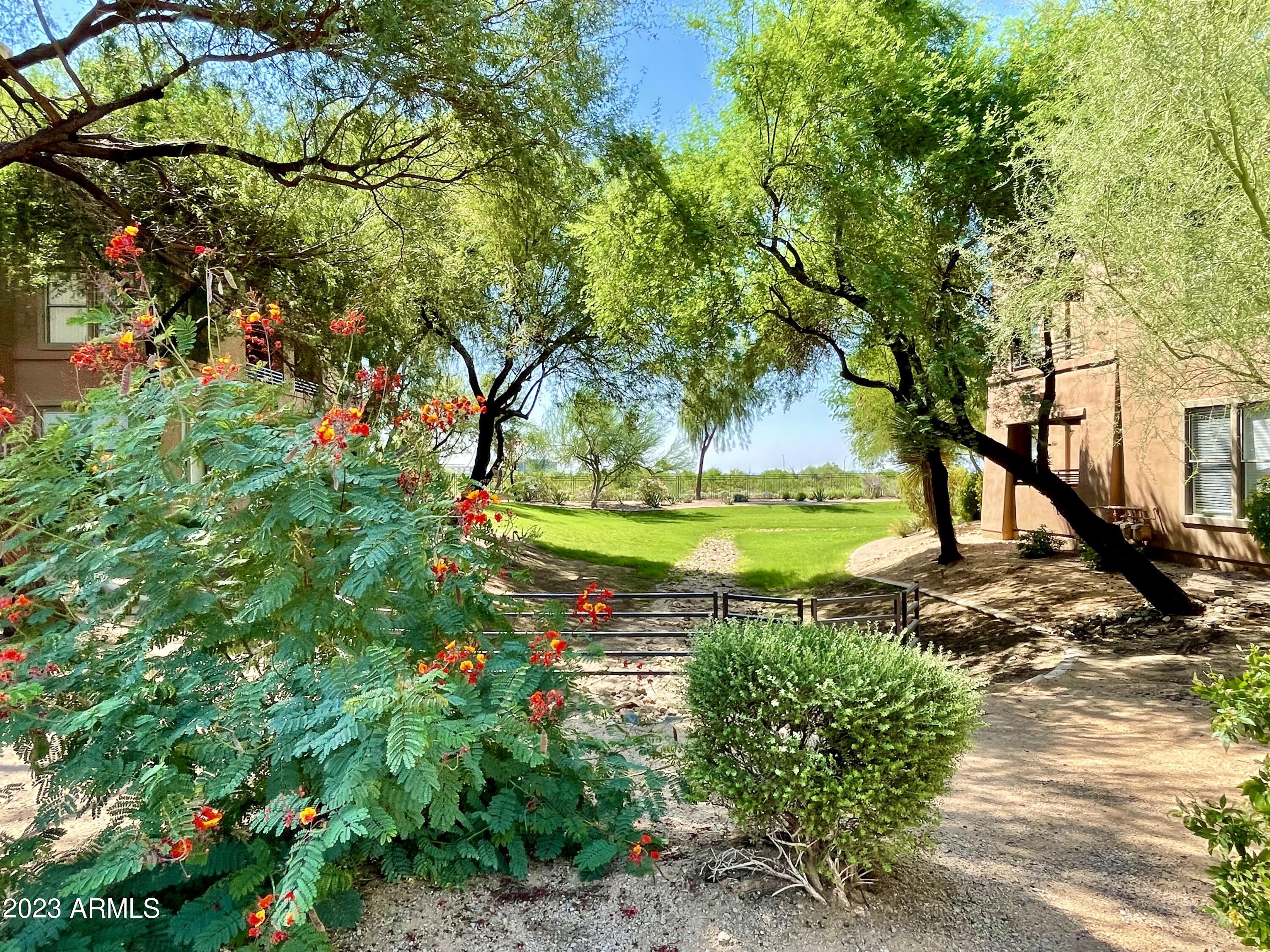 19777 N 76th Street Property Photo 22