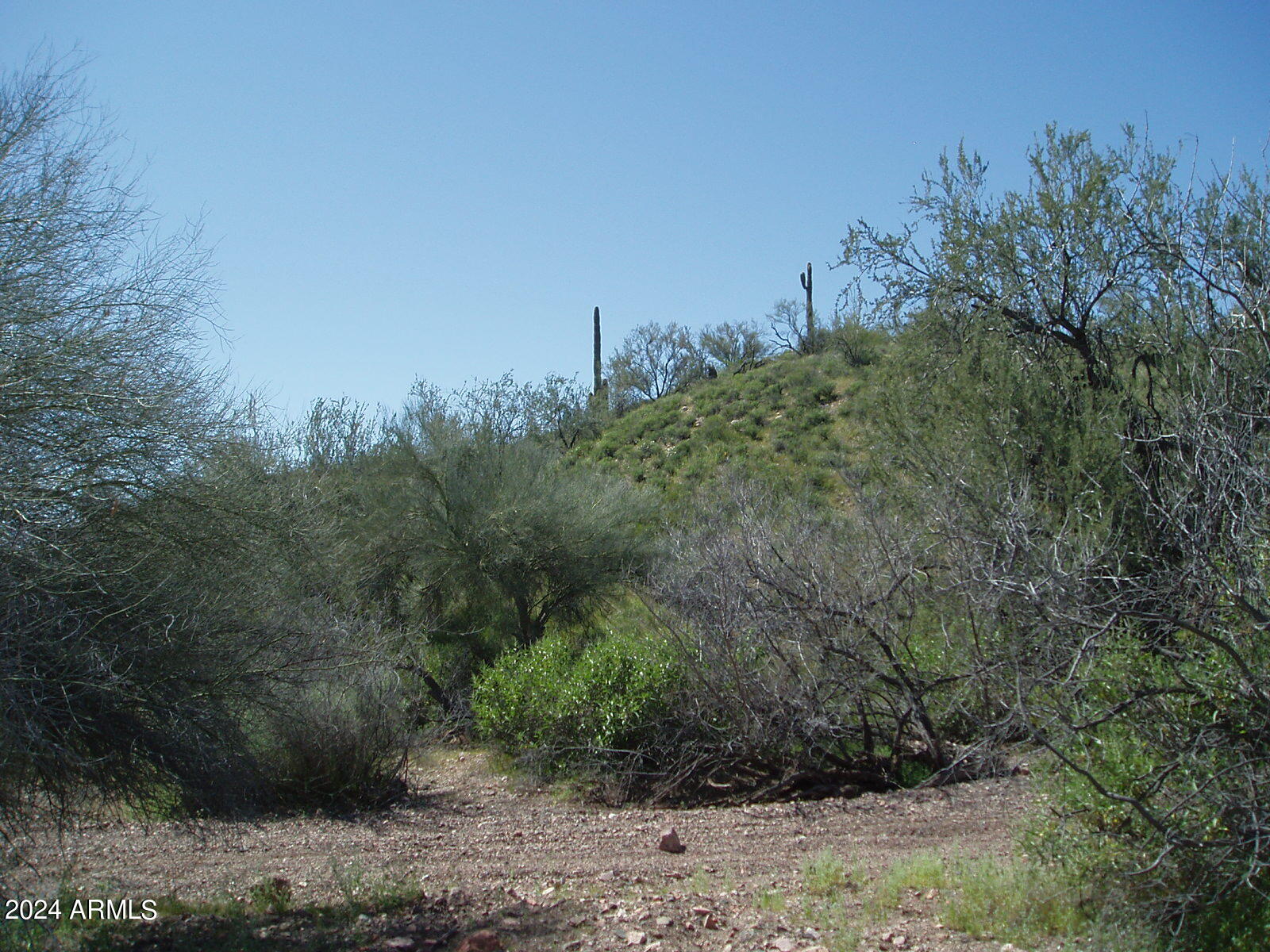 28700 W Joy Ranch Road Property Photo 1