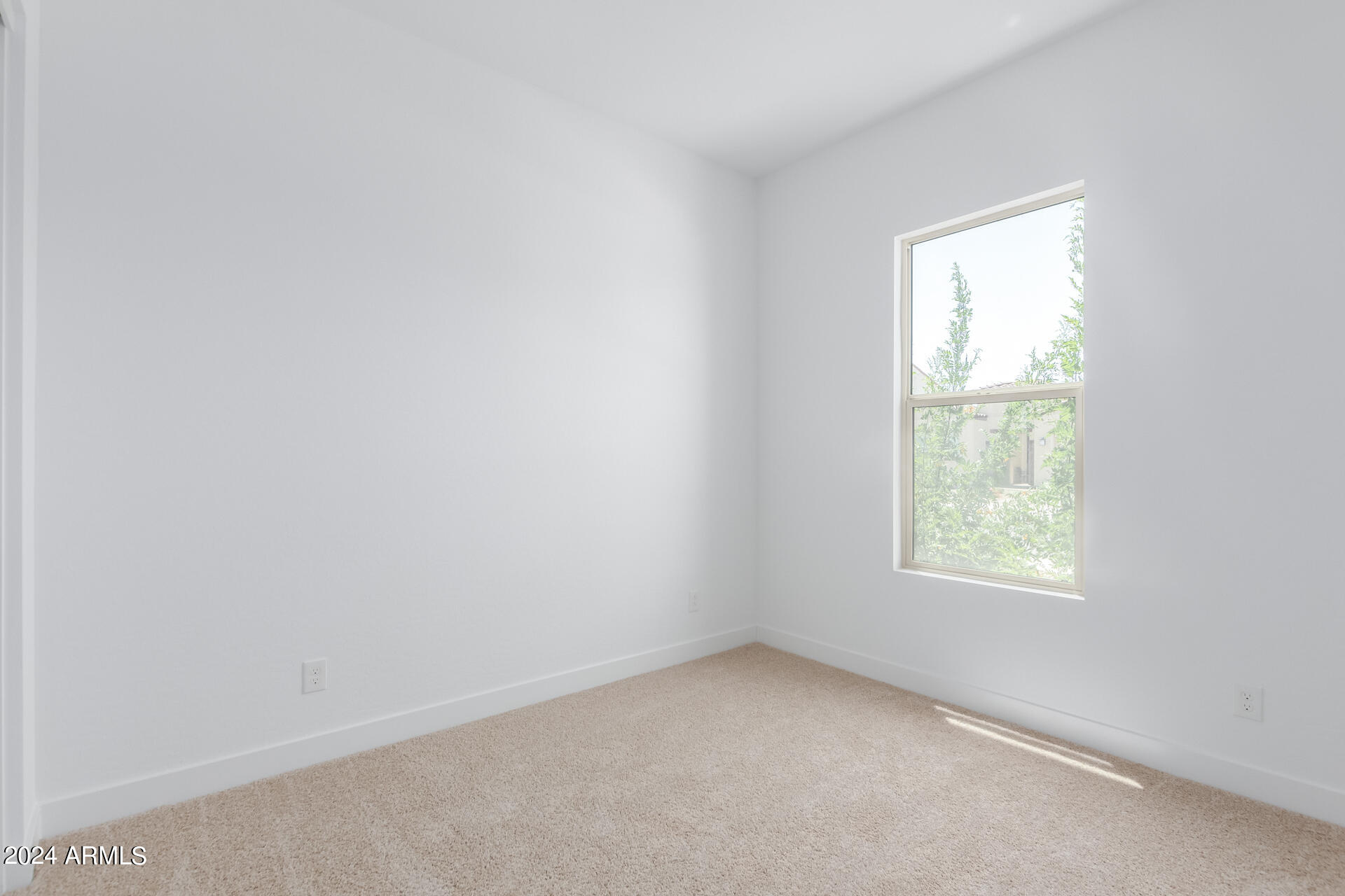 3842 E Fiesta Flower Lane Property Photo 27