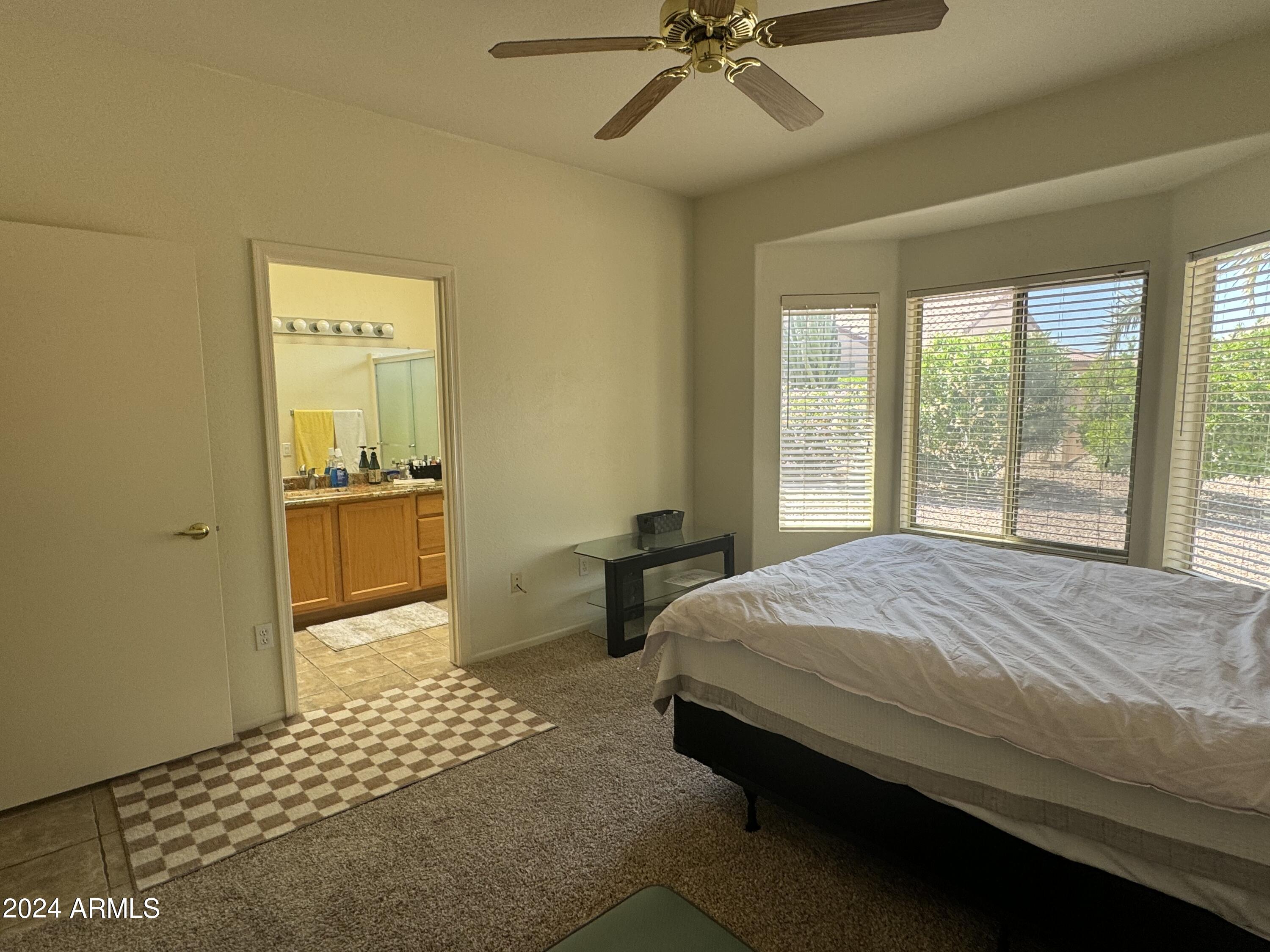 20234 N Mariposa Way Property Photo 21
