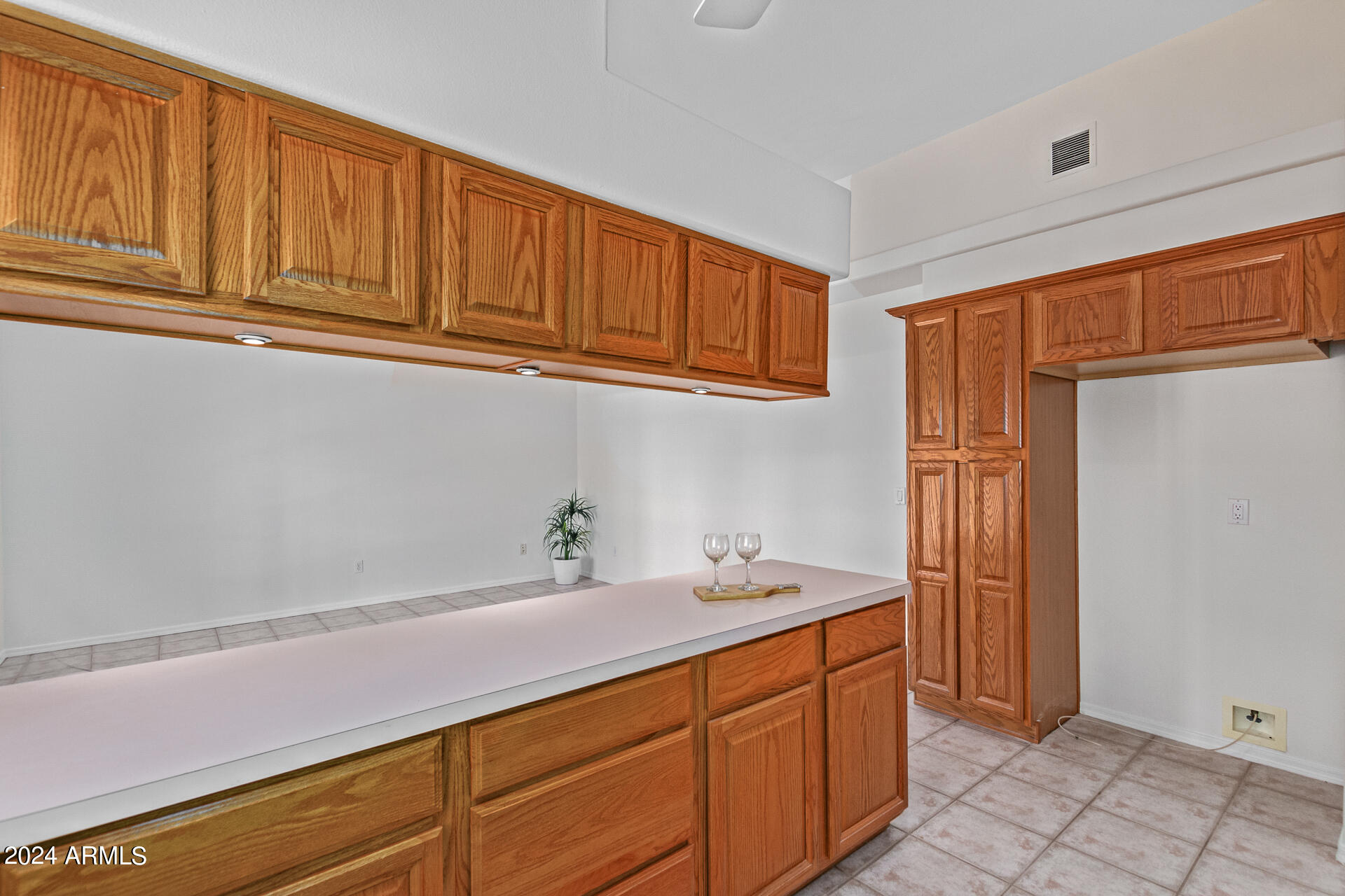 14360 S Cienega Lane Property Photo 17