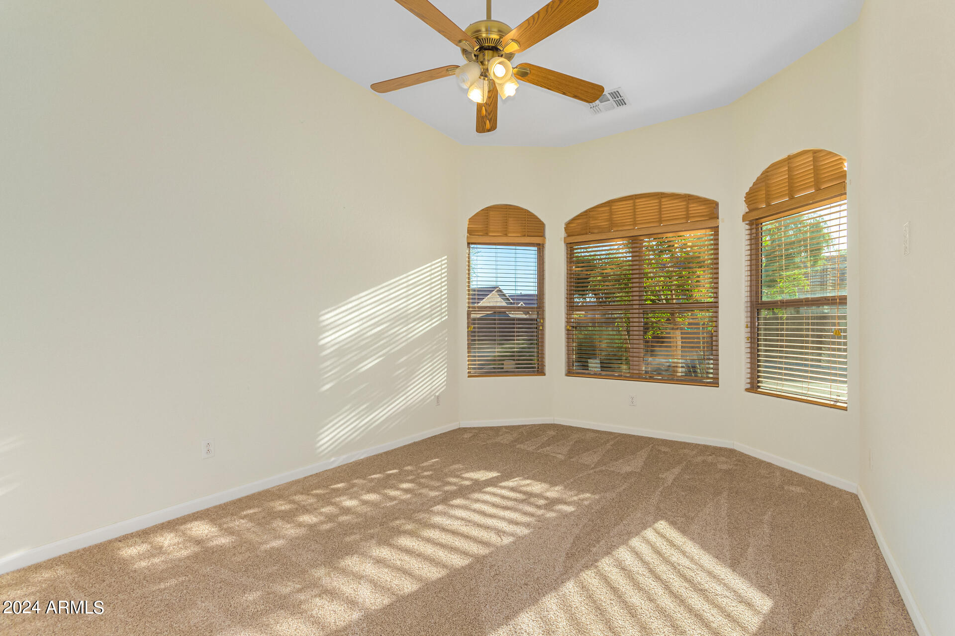 7023 S 55th Lane Property Photo 38