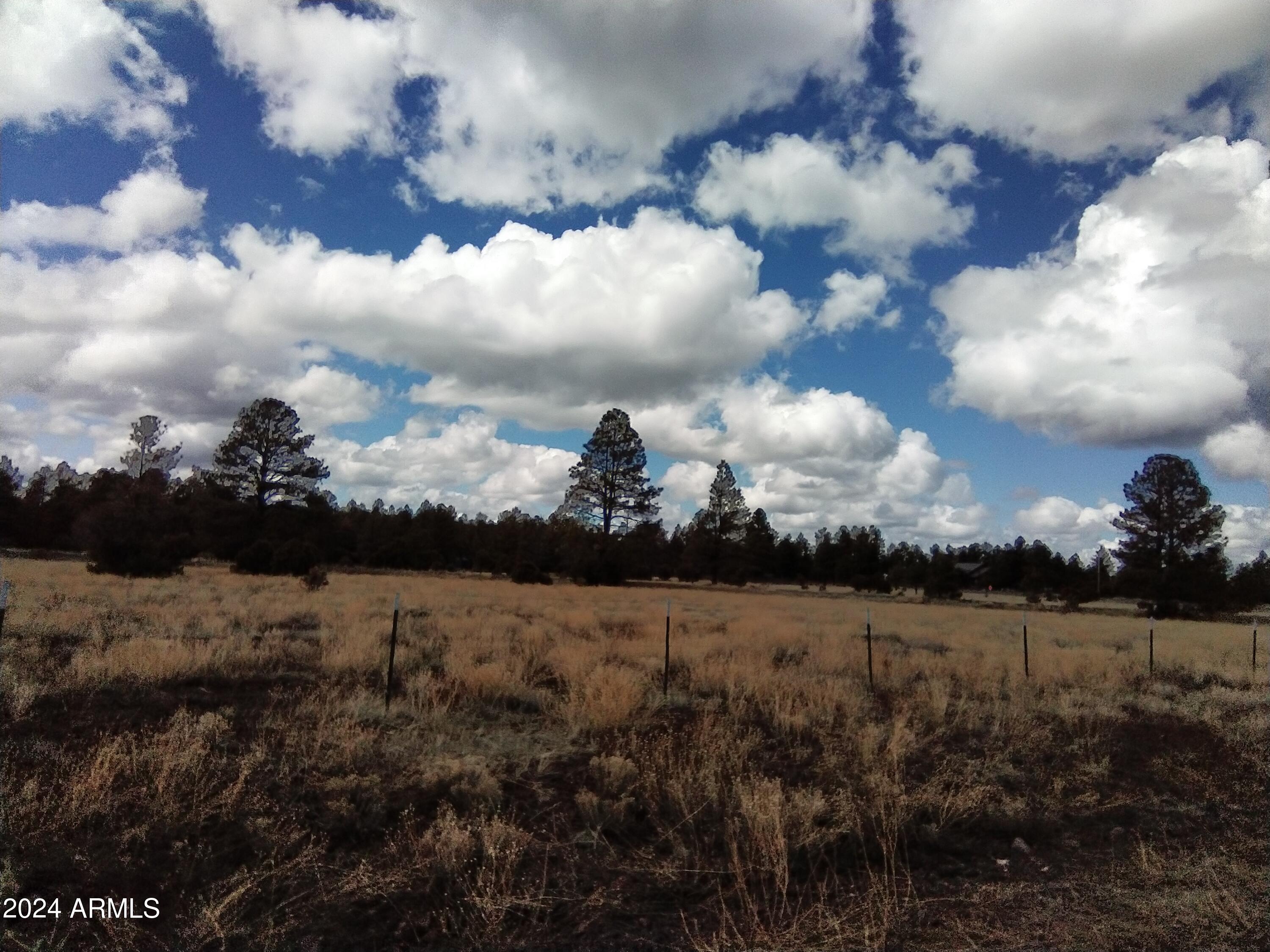 1939 Bourdon Ranch Road Property Photo