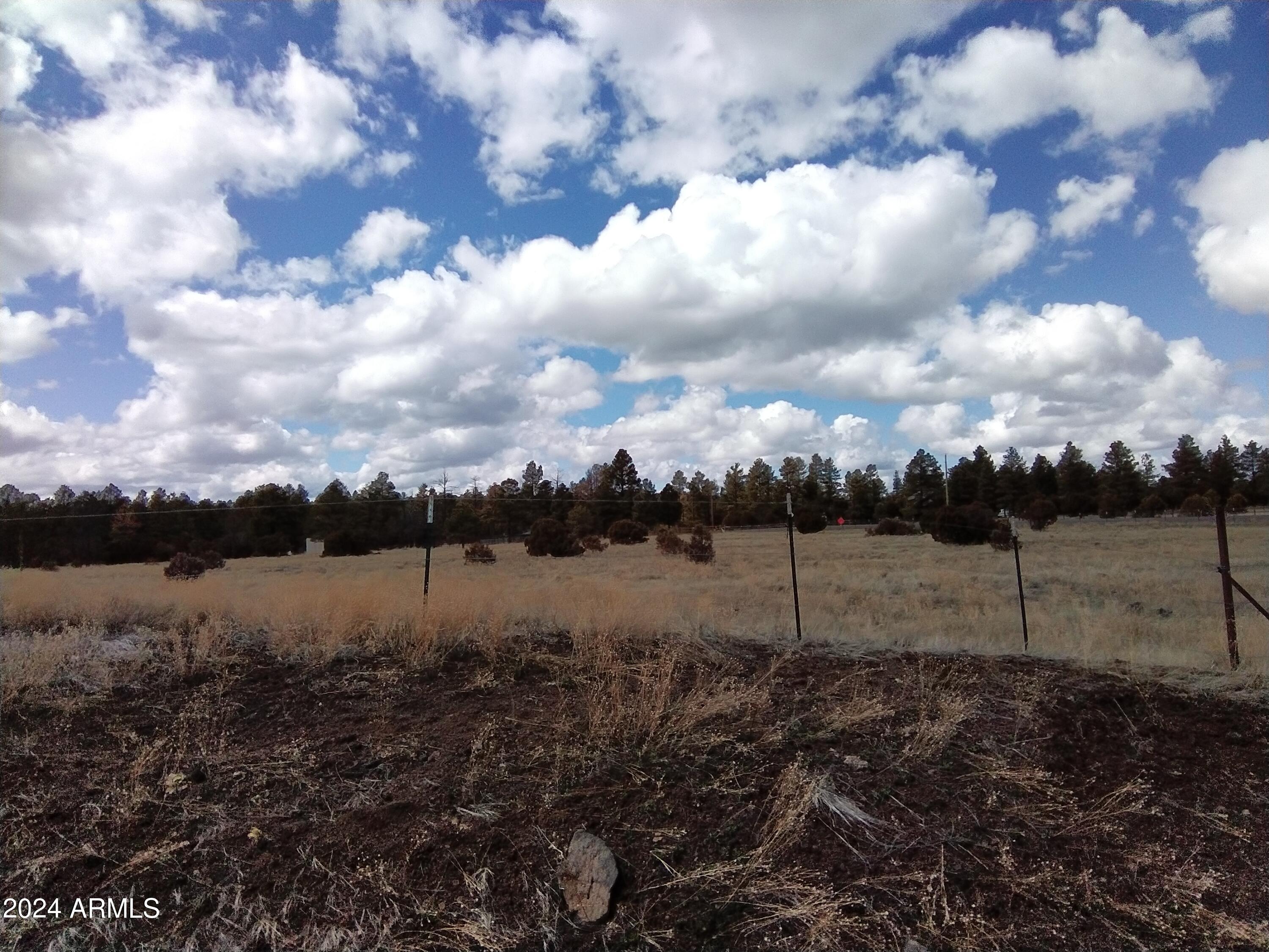 1939 Bourdon Ranch Road Property Photo 2