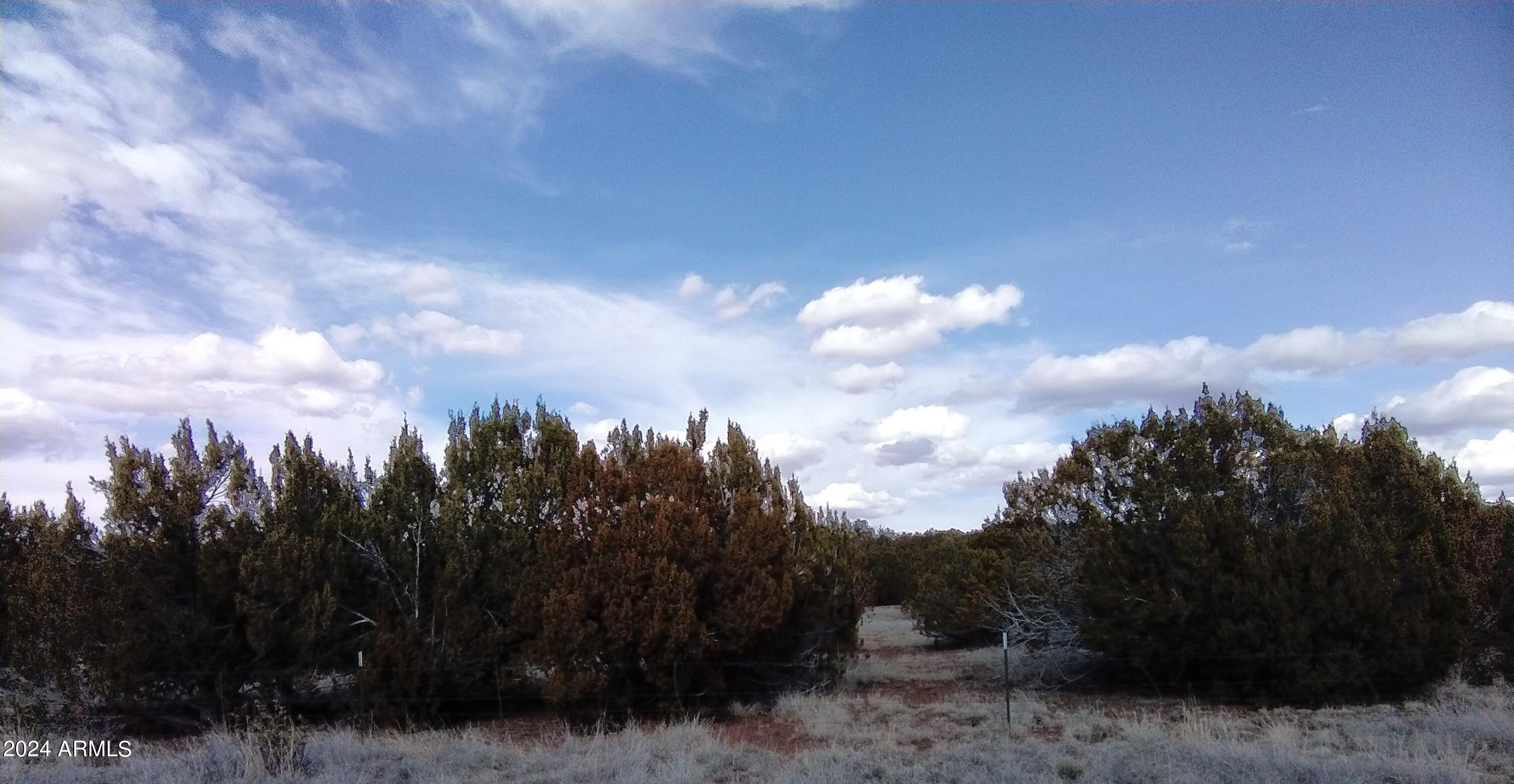 1939 Bourdon Ranch Road Property Photo 3