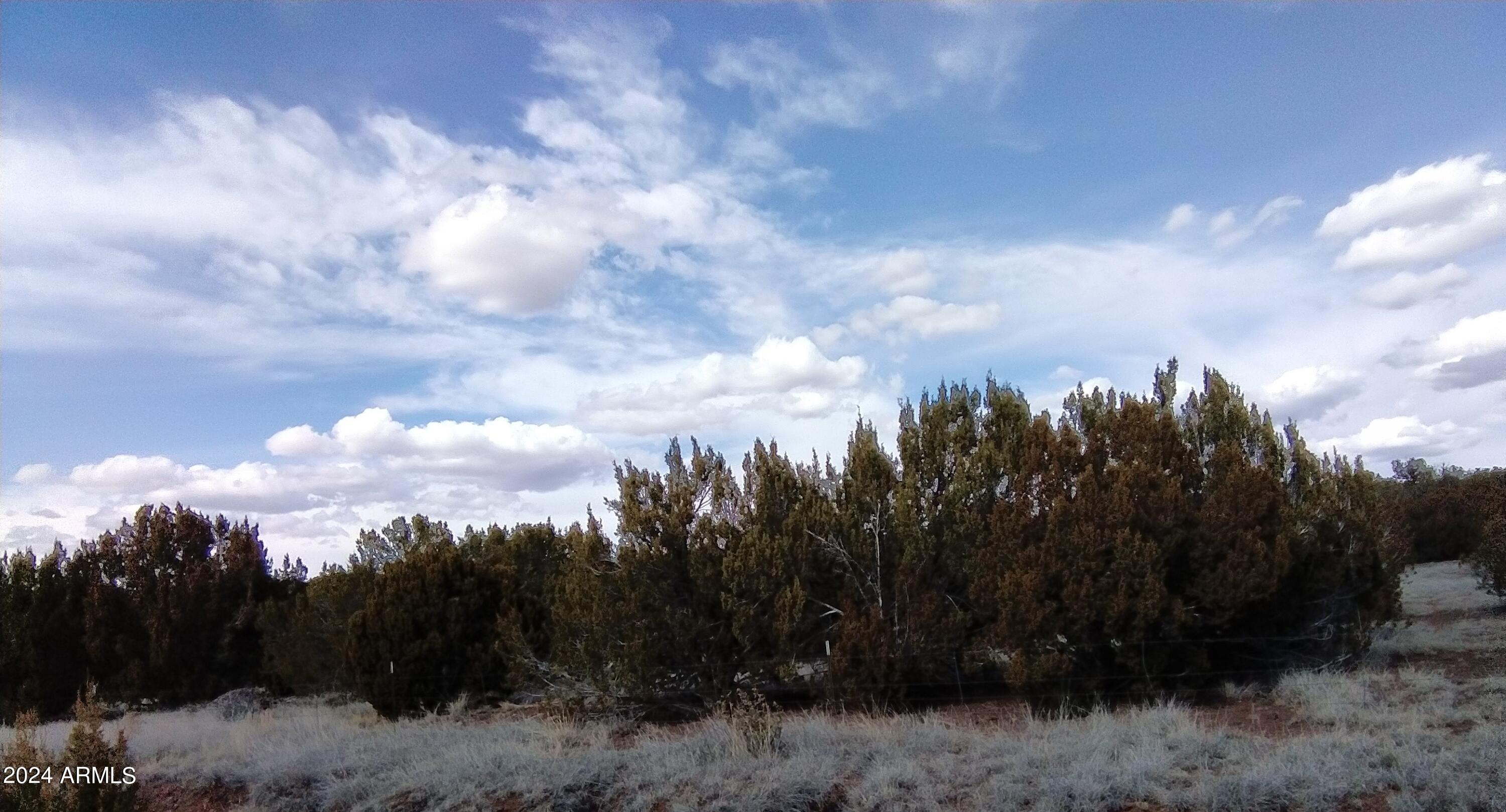 1939 Bourdon Ranch Road Property Photo 4