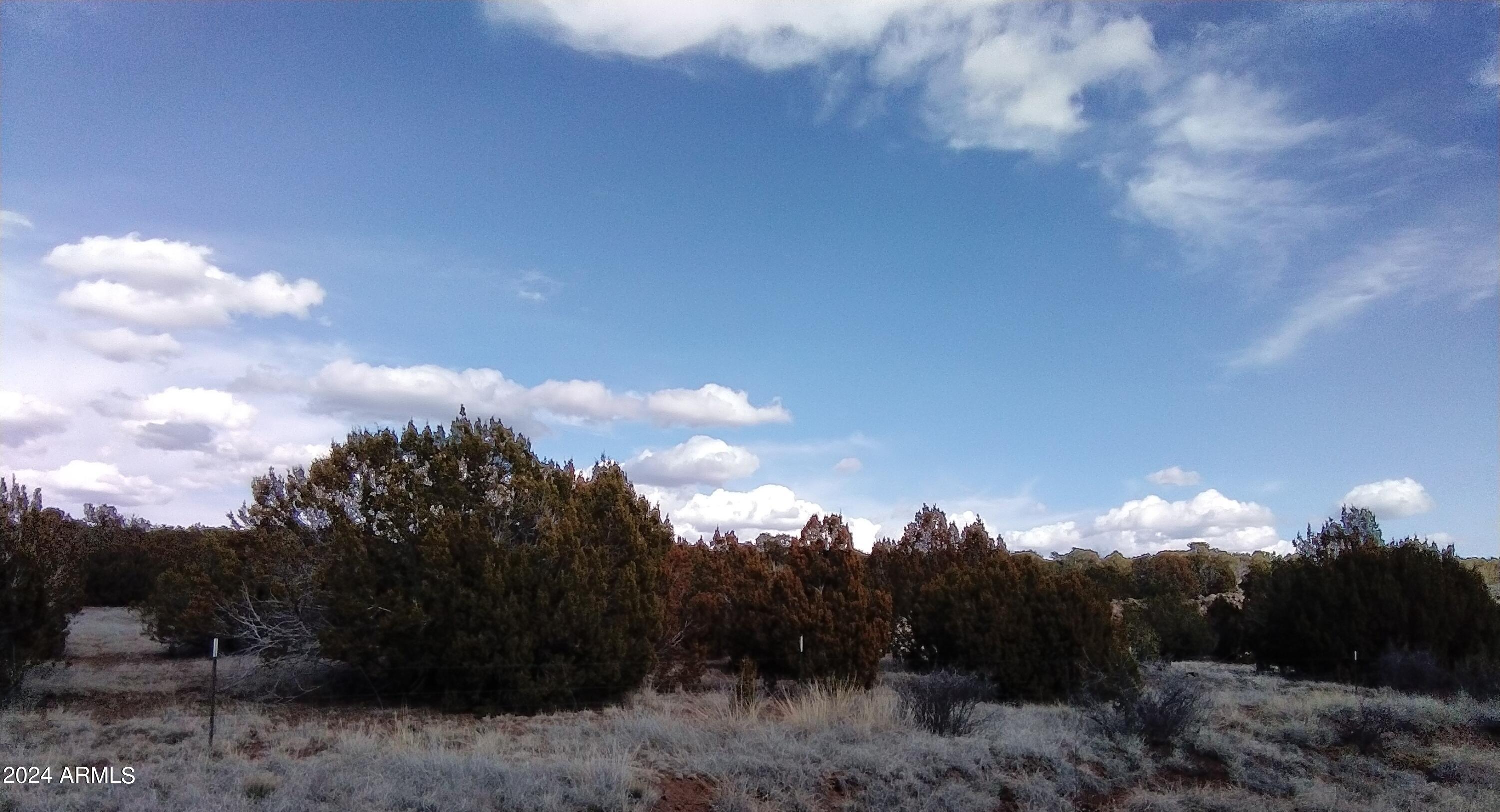 1939 Bourdon Ranch Road Property Photo 5