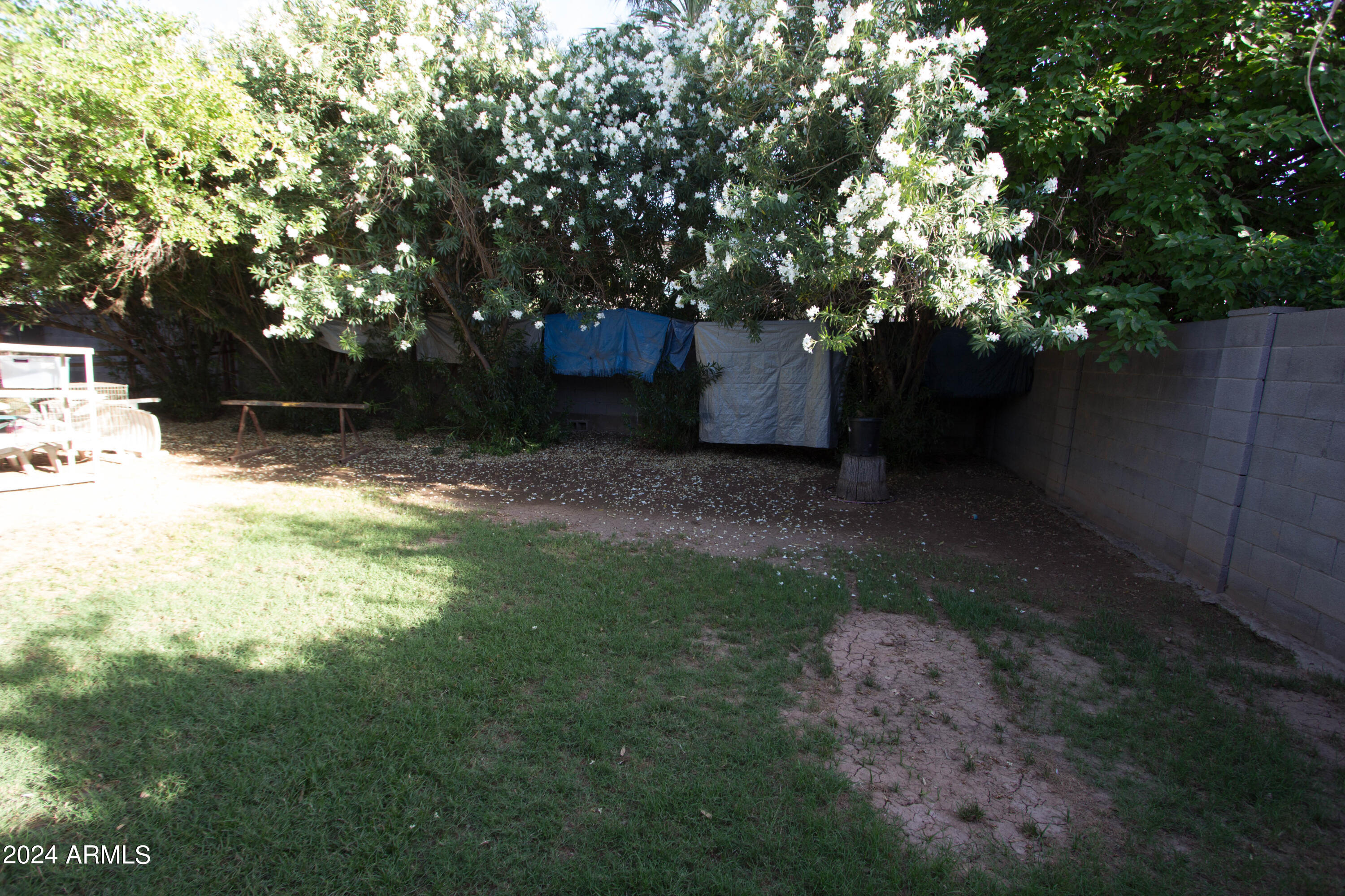 325 E 5th Avenue Property Photo 24