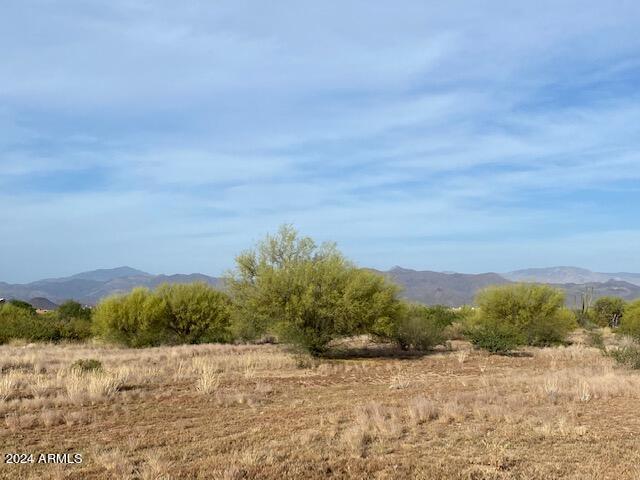 31506 N 138th Place Property Photo 5