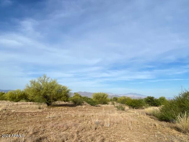 31506 N 138th Place Property Photo 7