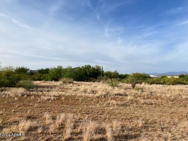 31506 N 138th Place Property Photo 11