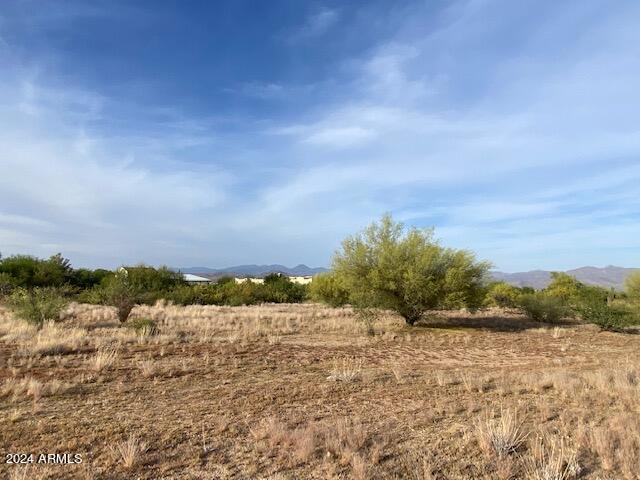 31506 N 138th Place Property Photo 12