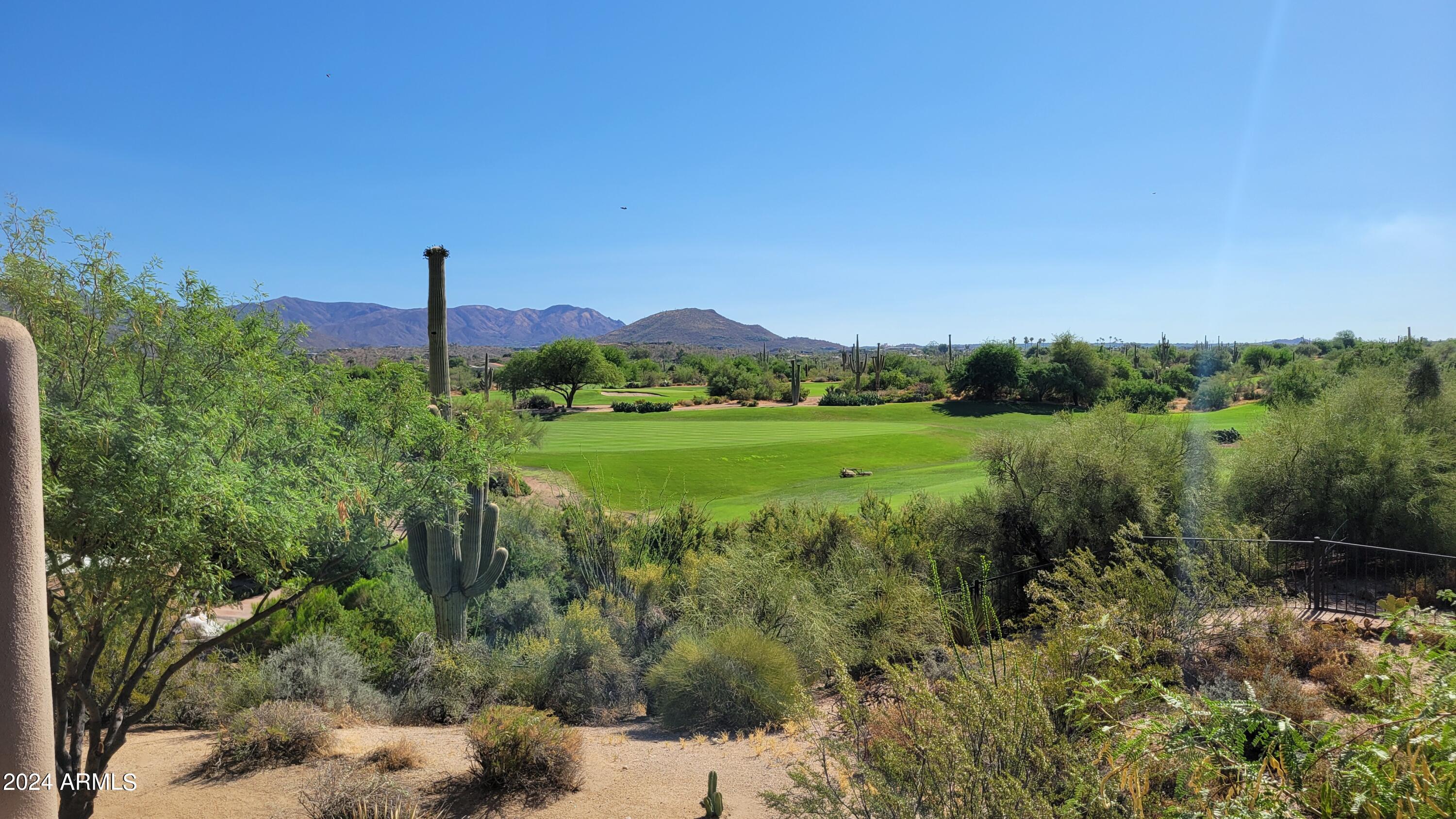 36601 N Mule Train Road Property Photo 3