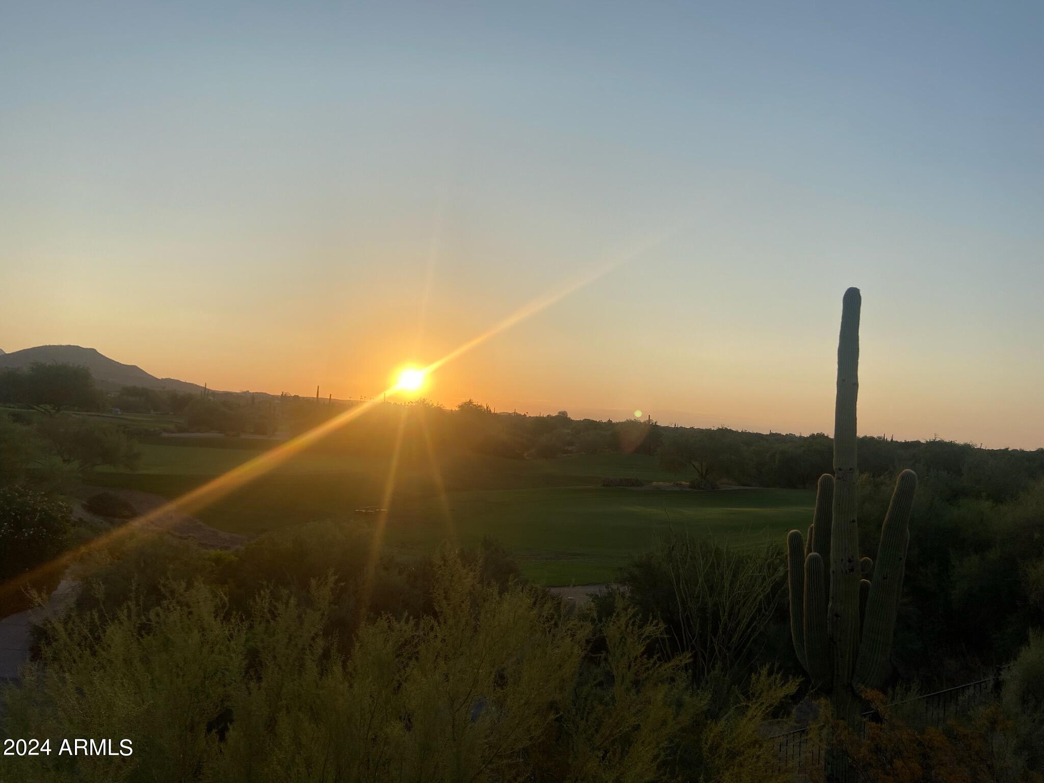 36601 N Mule Train Road Property Photo 4