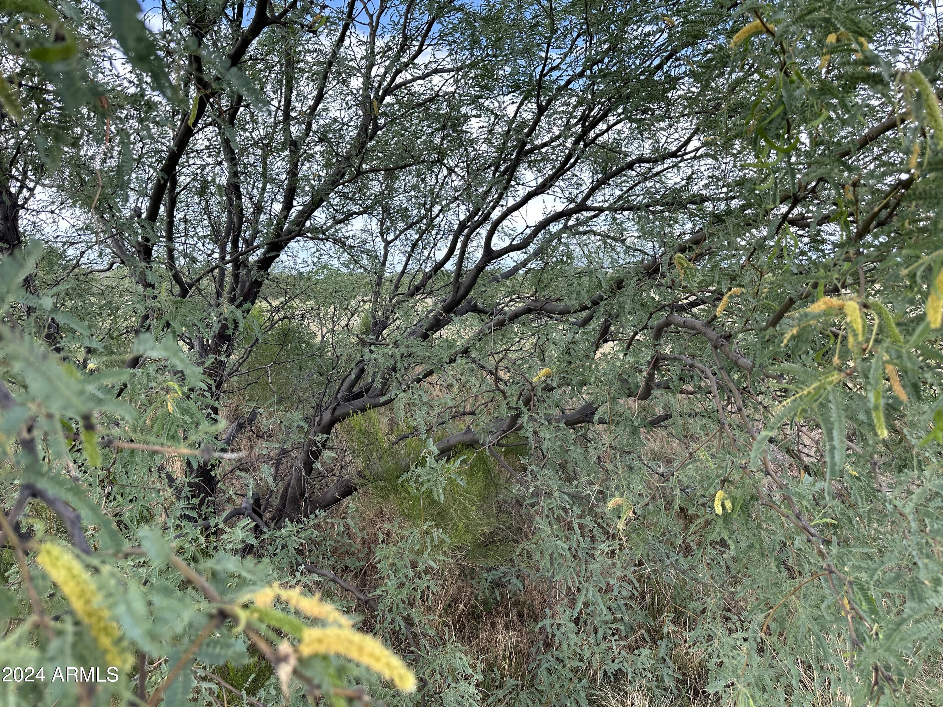 0 W Horse Ride Loop Property Photo 5