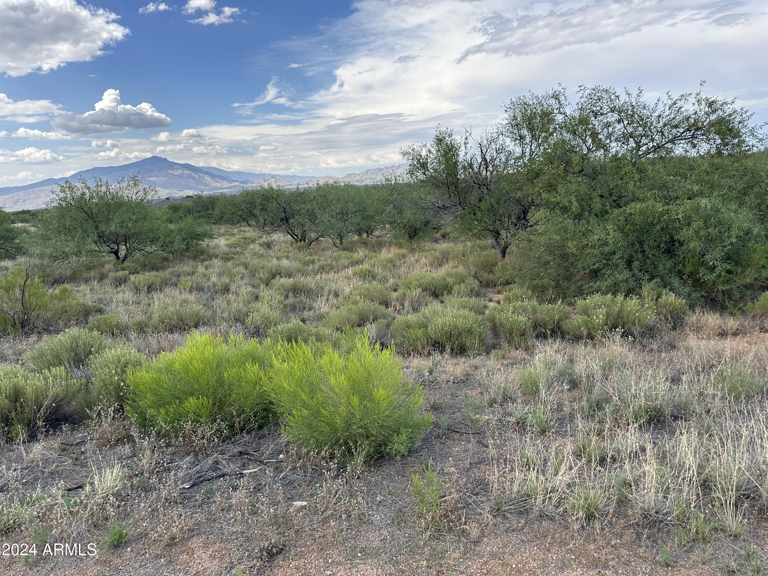 0 W Horse Ride Loop Property Photo 10