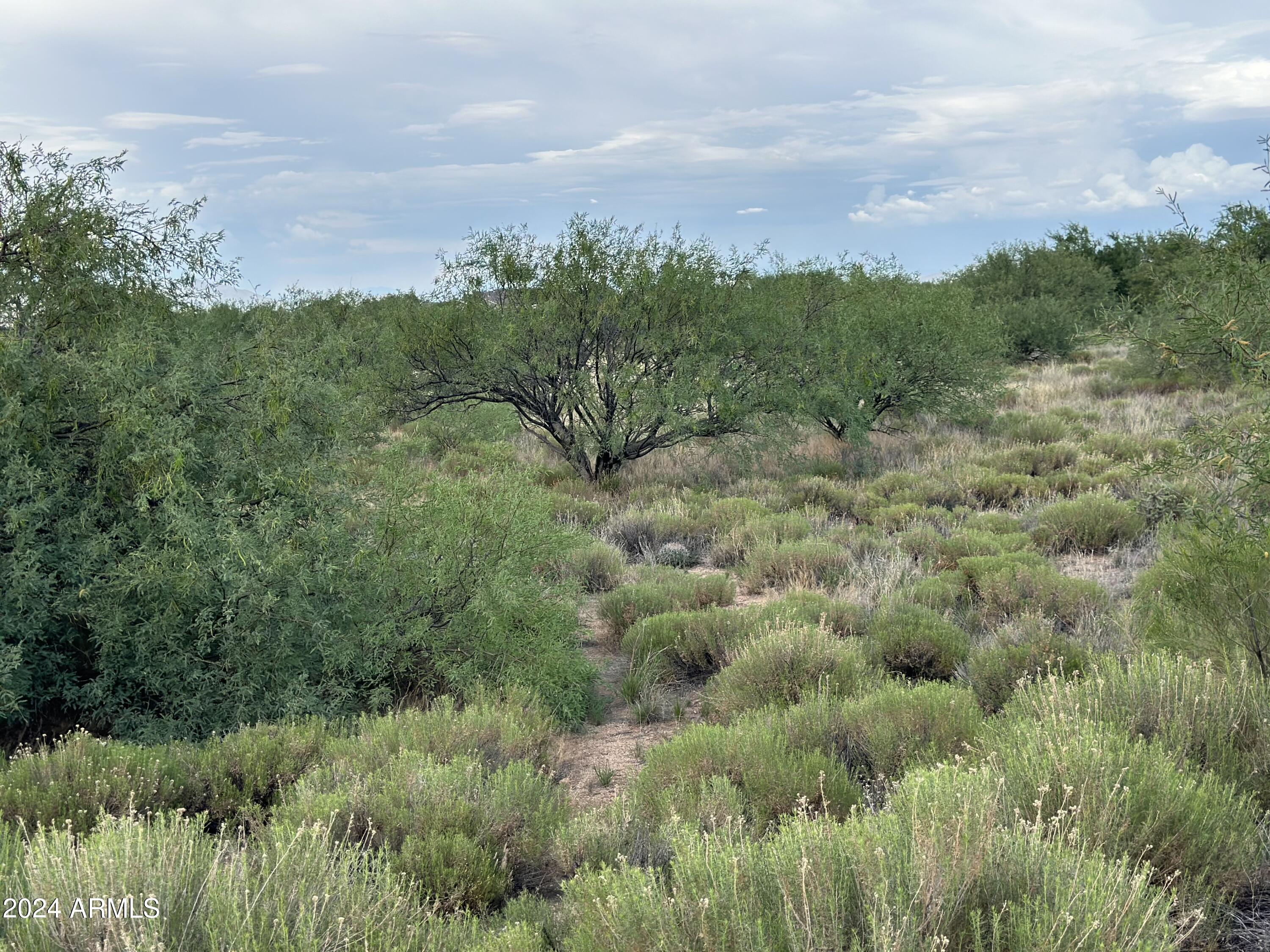 0 W Horse Ride Loop Property Photo 12