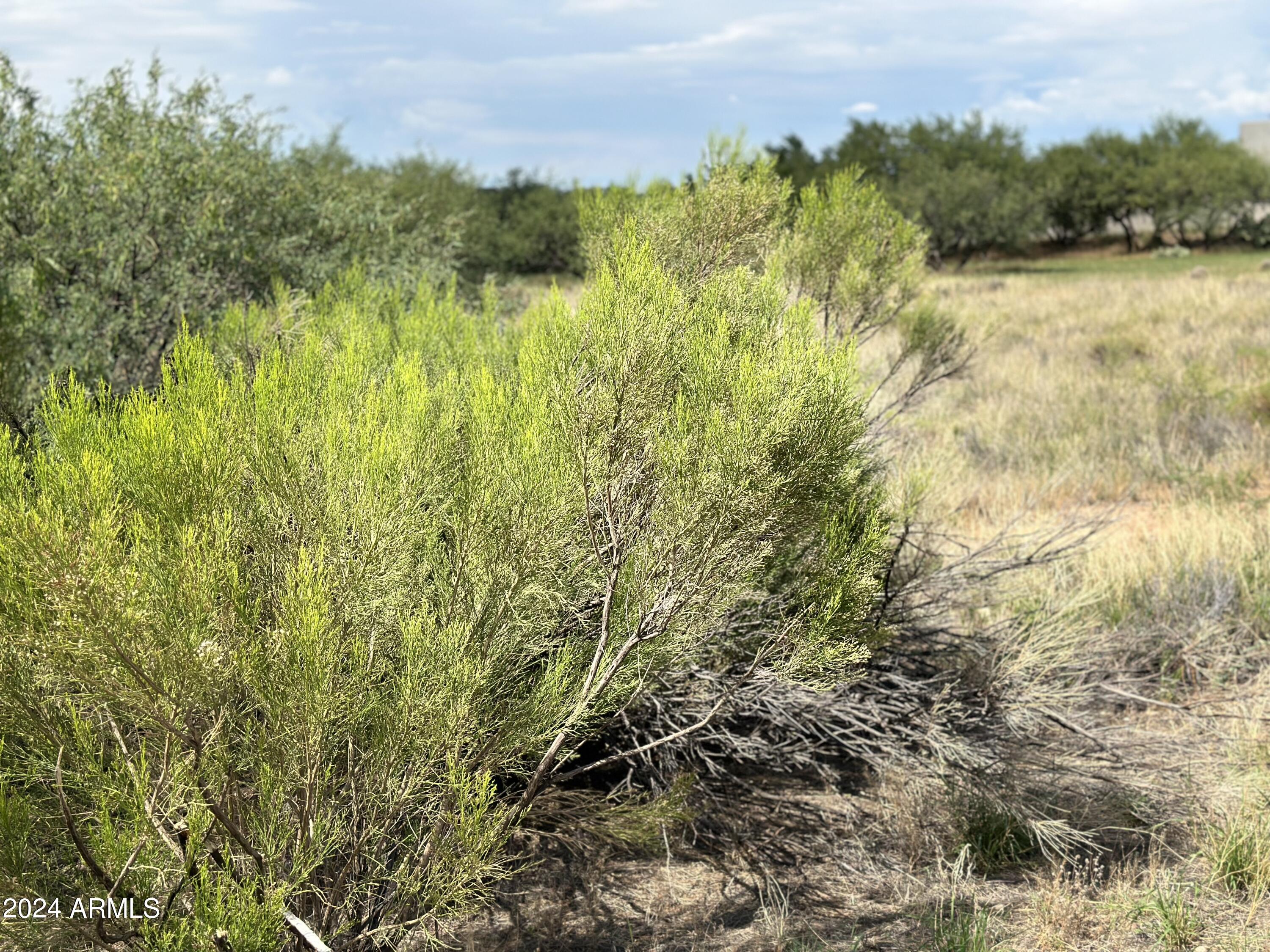 0 W Horse Ride Loop Property Photo 13