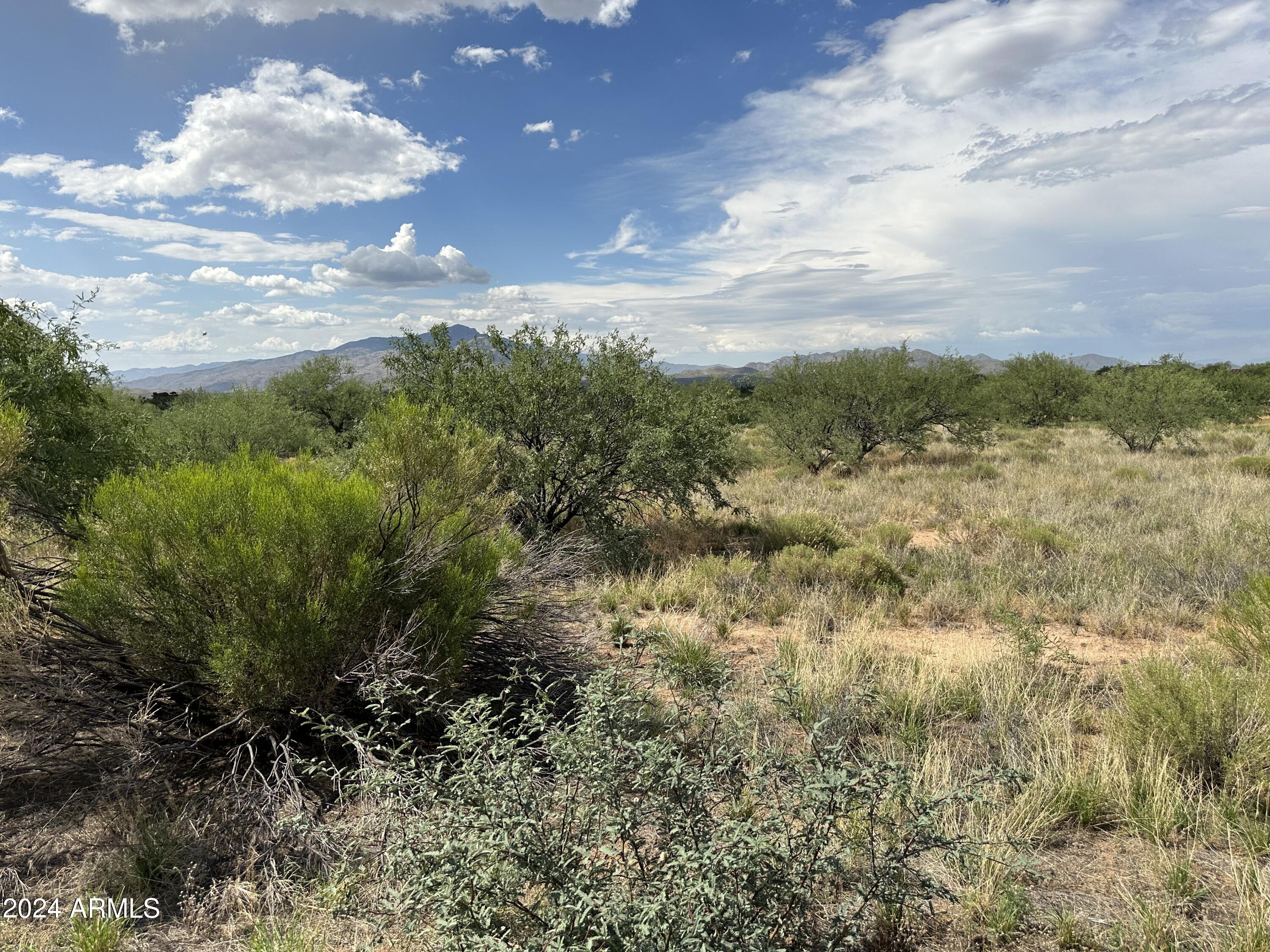 0 W Horse Ride Loop Property Photo 14