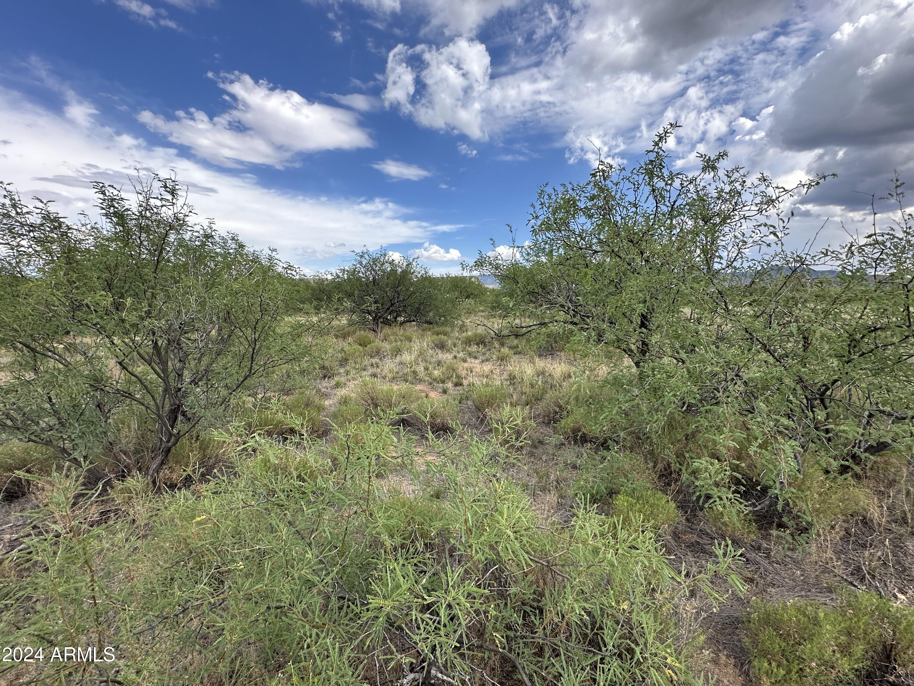 0 W Horse Ride Loop Property Photo 20