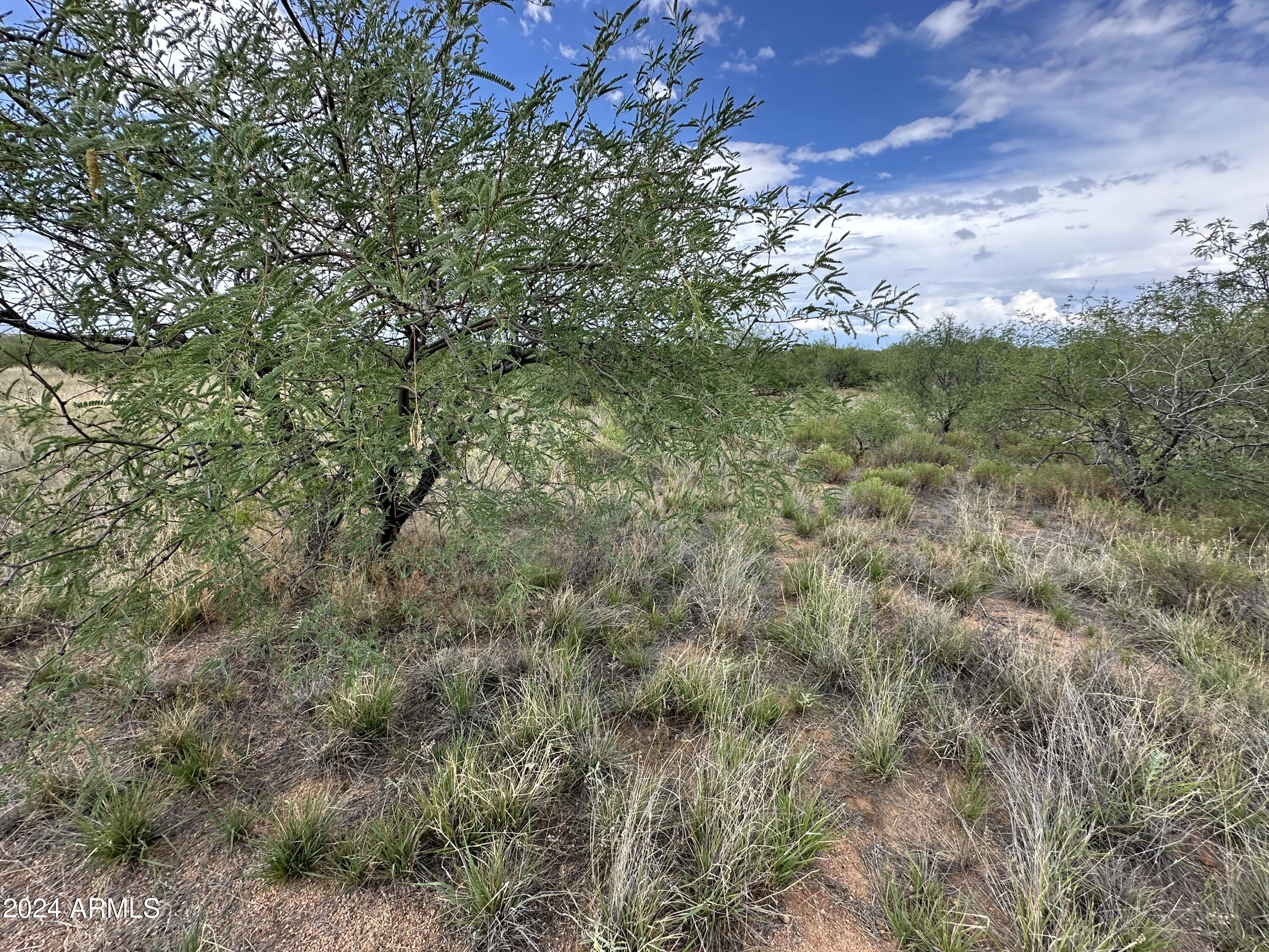 0 W Horse Ride Loop Property Photo 28