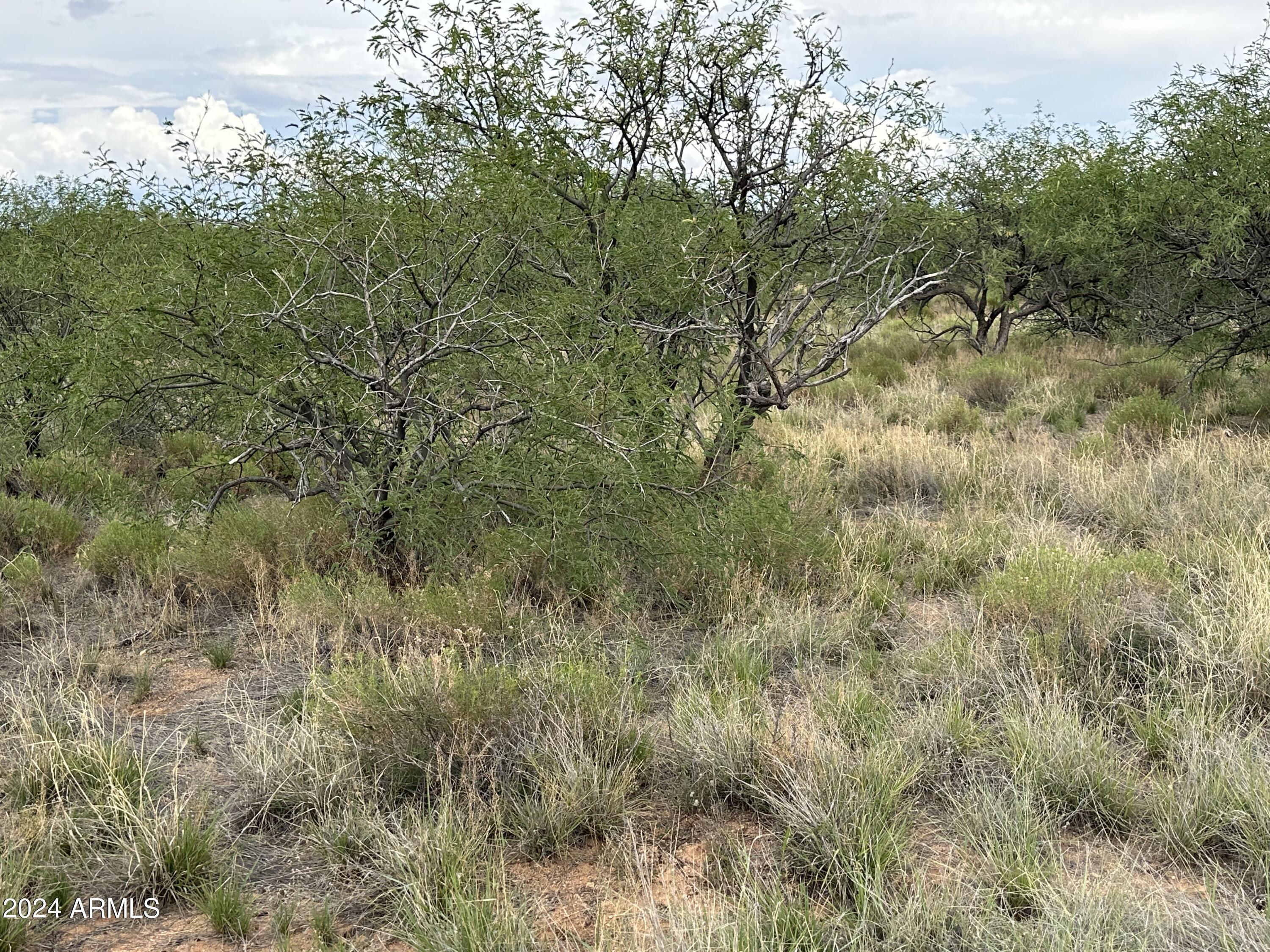 0 W Horse Ride Loop Property Photo 29