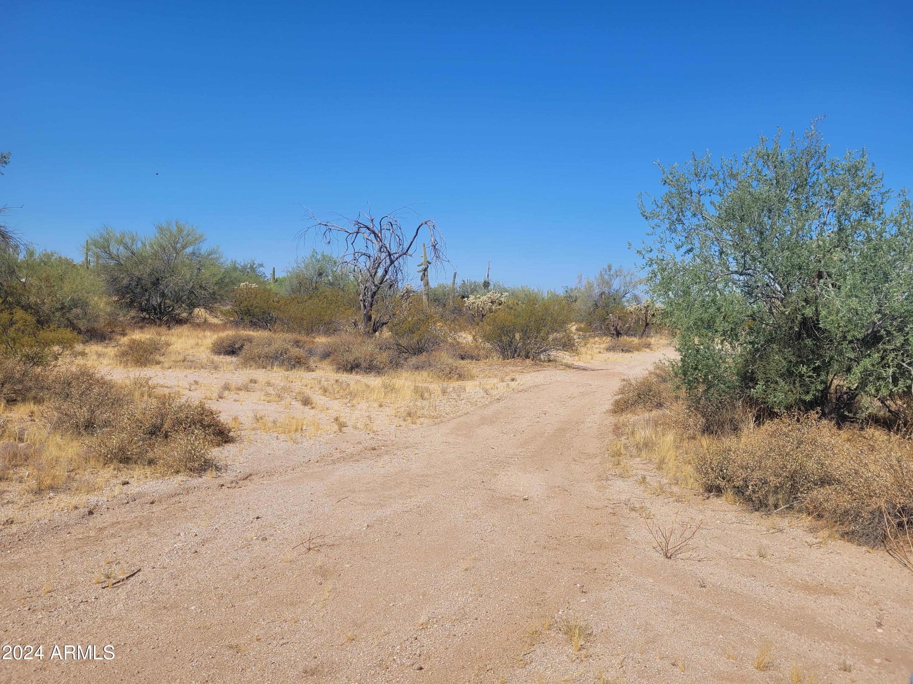 000 Roca Road Property Photo 3