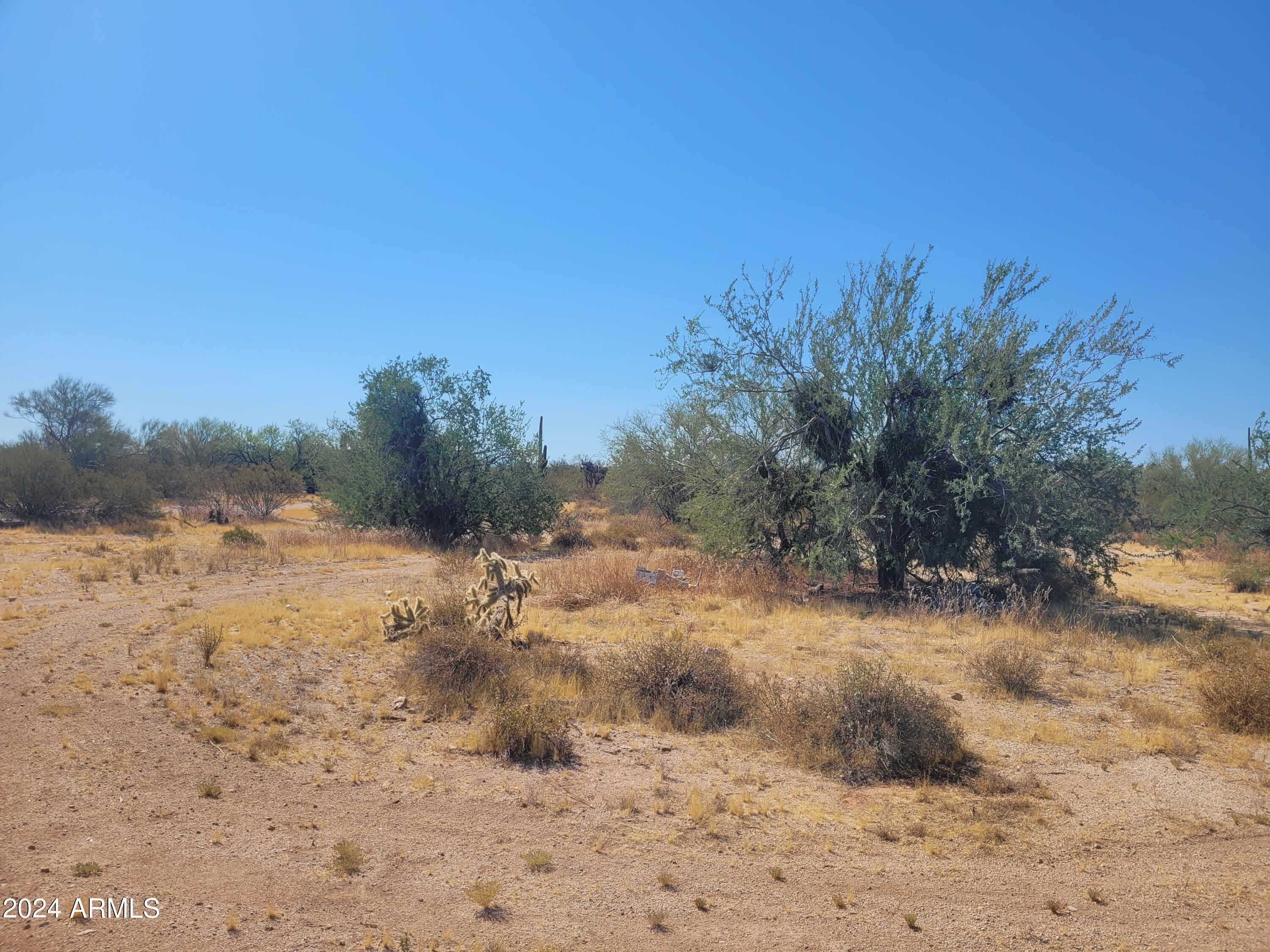 000 Roca Road Property Photo 4