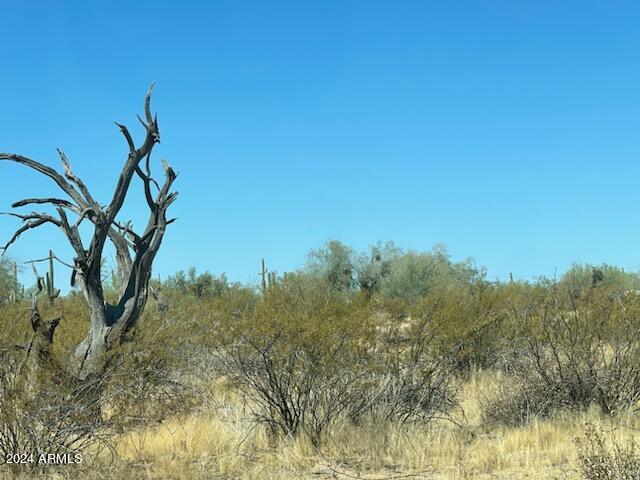000 Roca Road Property Photo 7