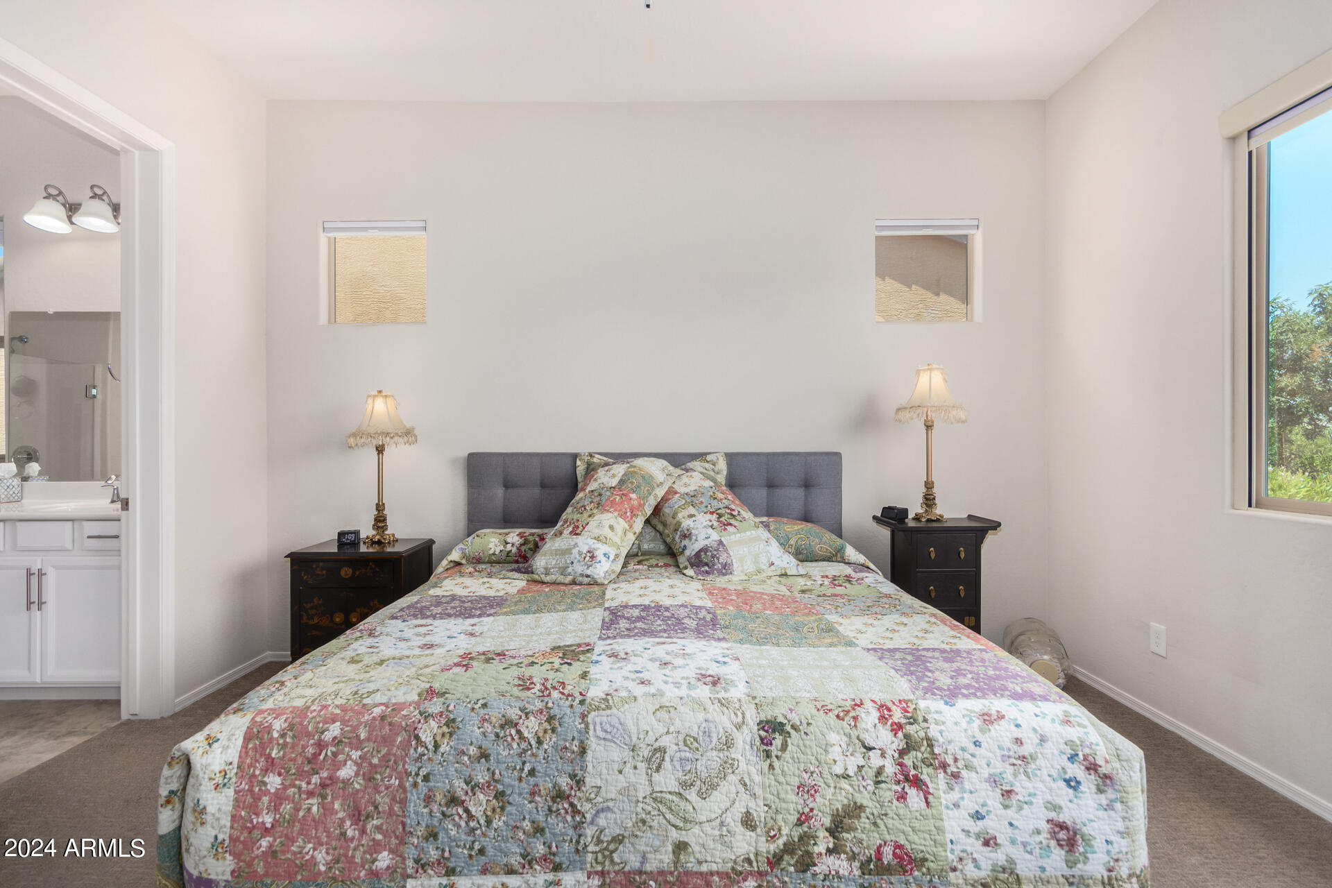 20285 N Winter Escape Court Property Photo 24