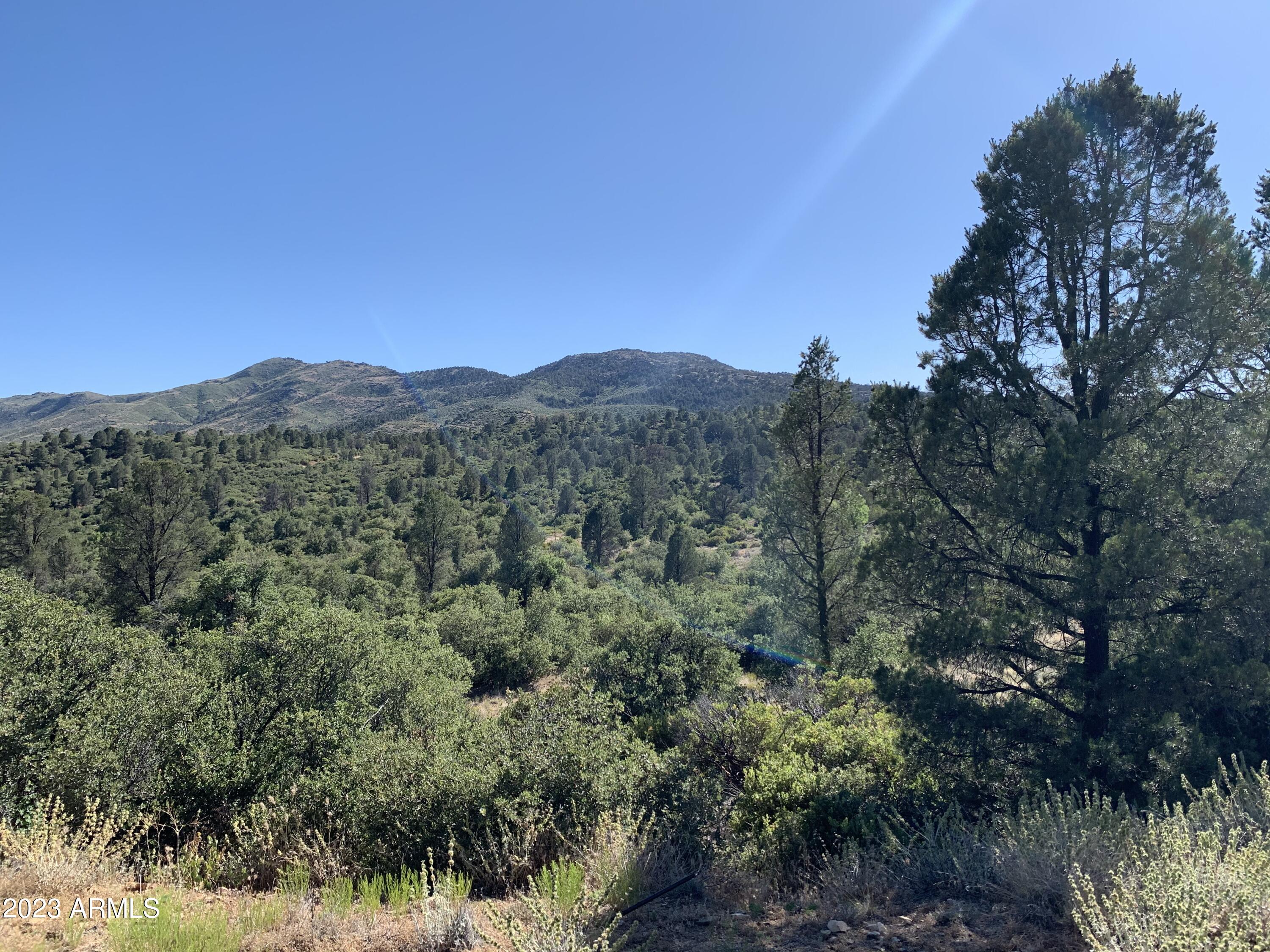 17545 W Buck Horn Drive Property Photo 1