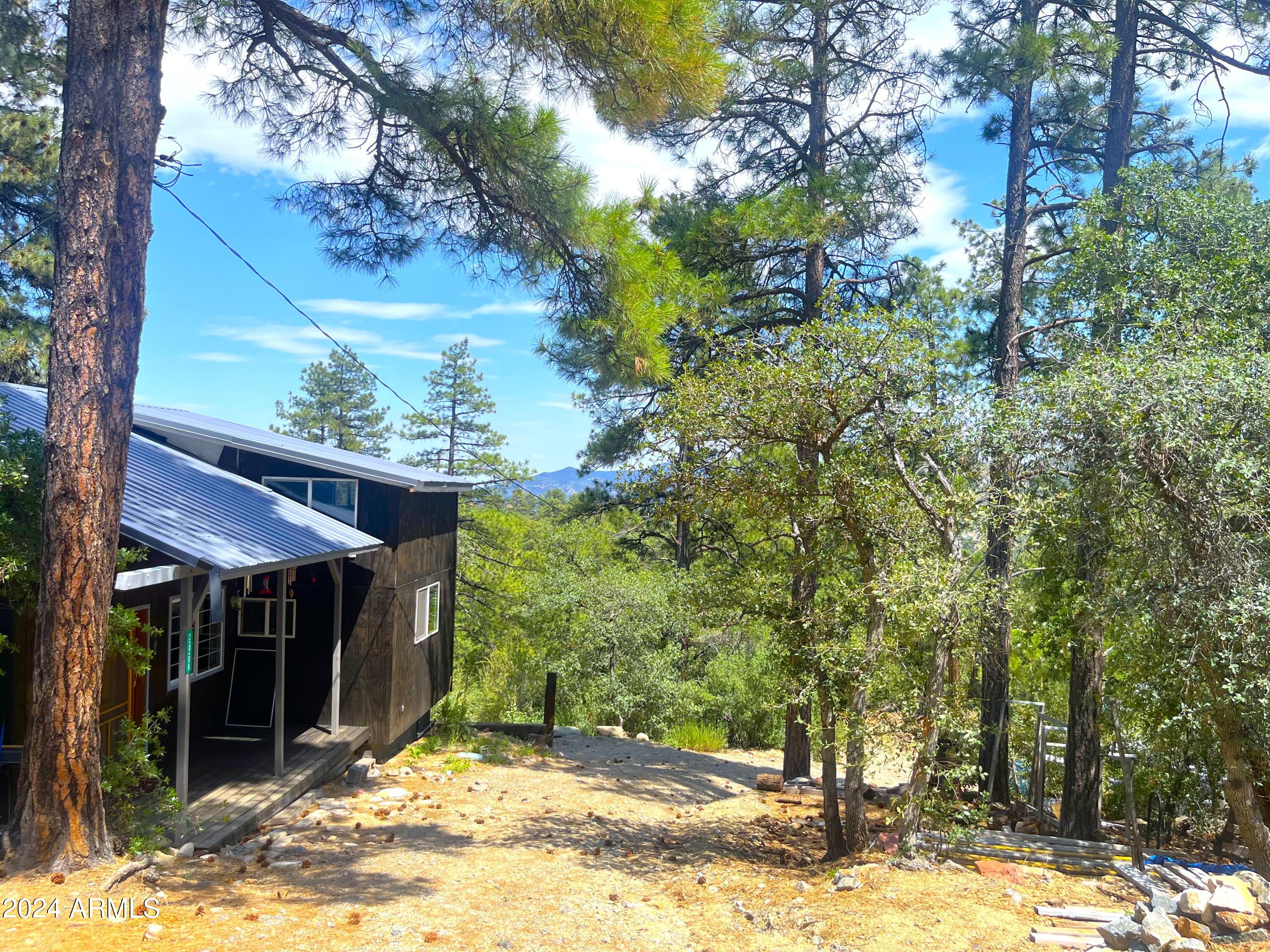 23206 S Towers Mountain Road Property Photo 1