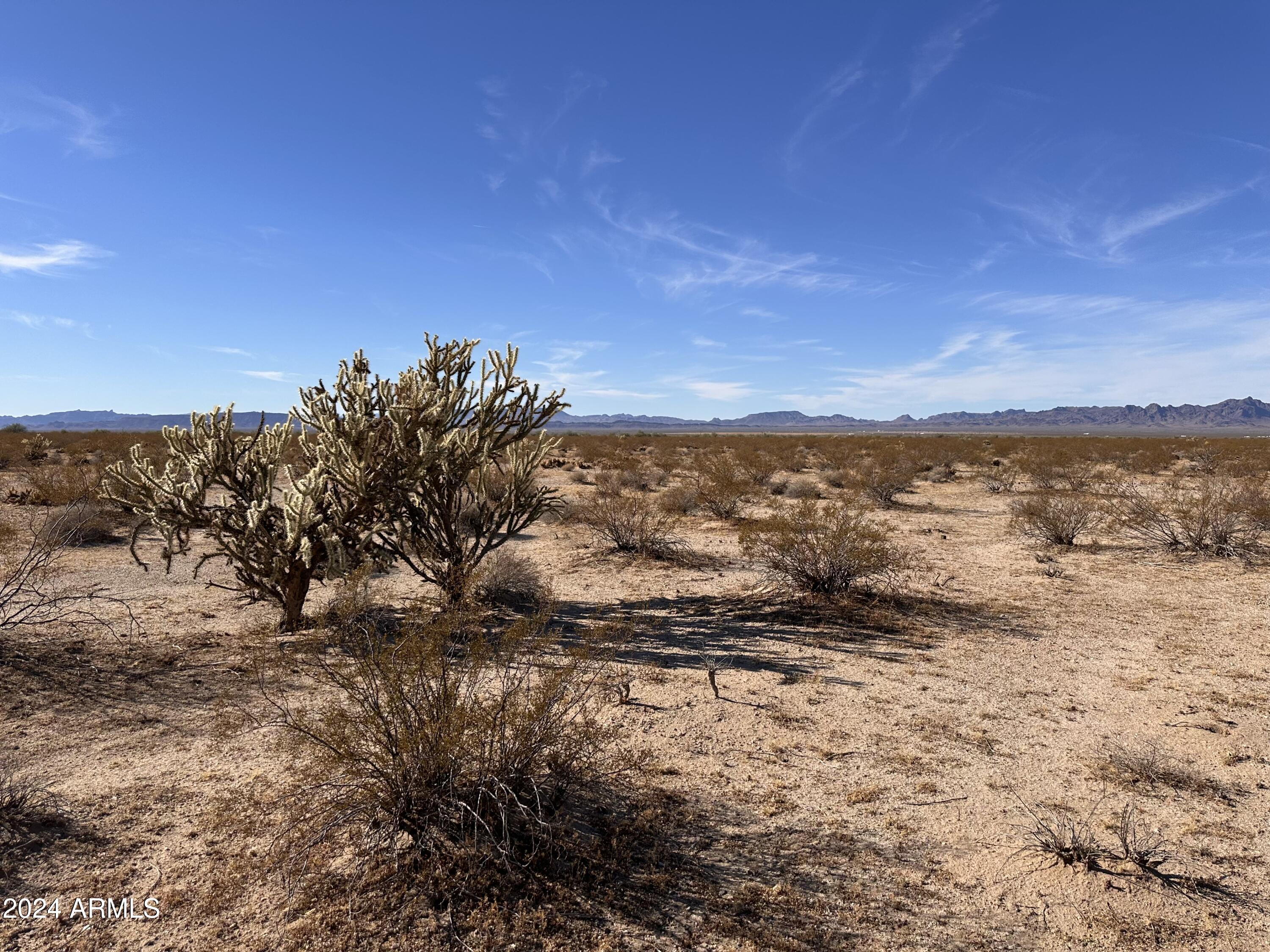 35224 Horizon View Property Photo 1