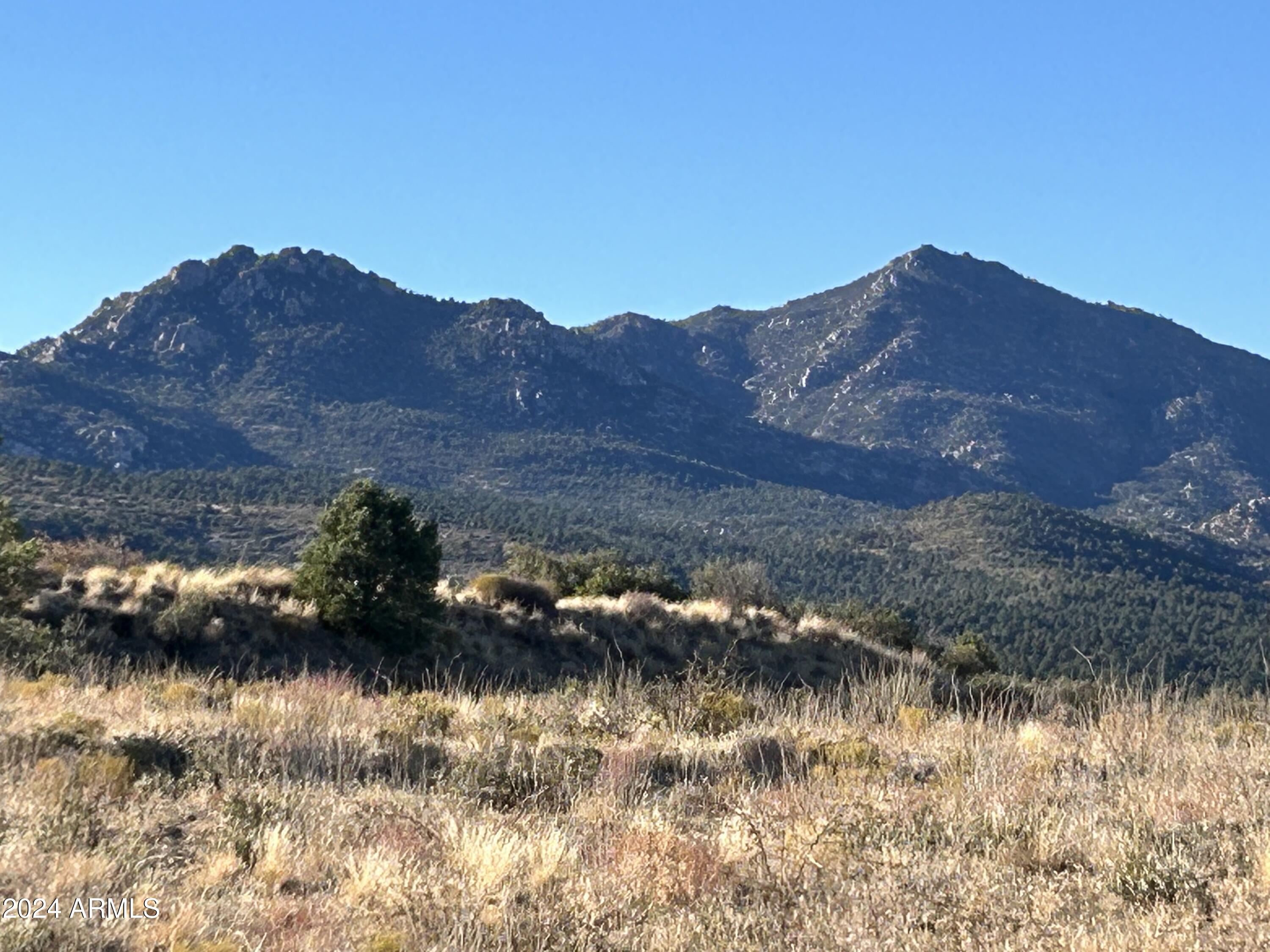 17415 S Rocky Boy Way Property Photo