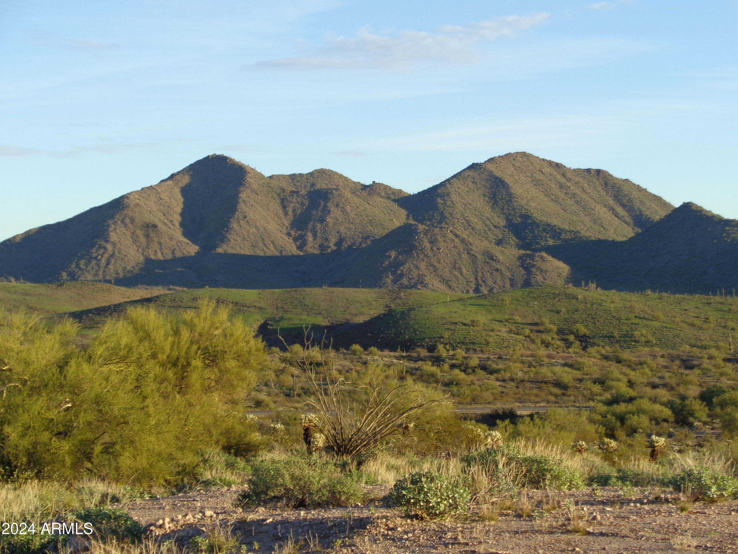 13871 N White Face Canyon Drive Property Photo 4
