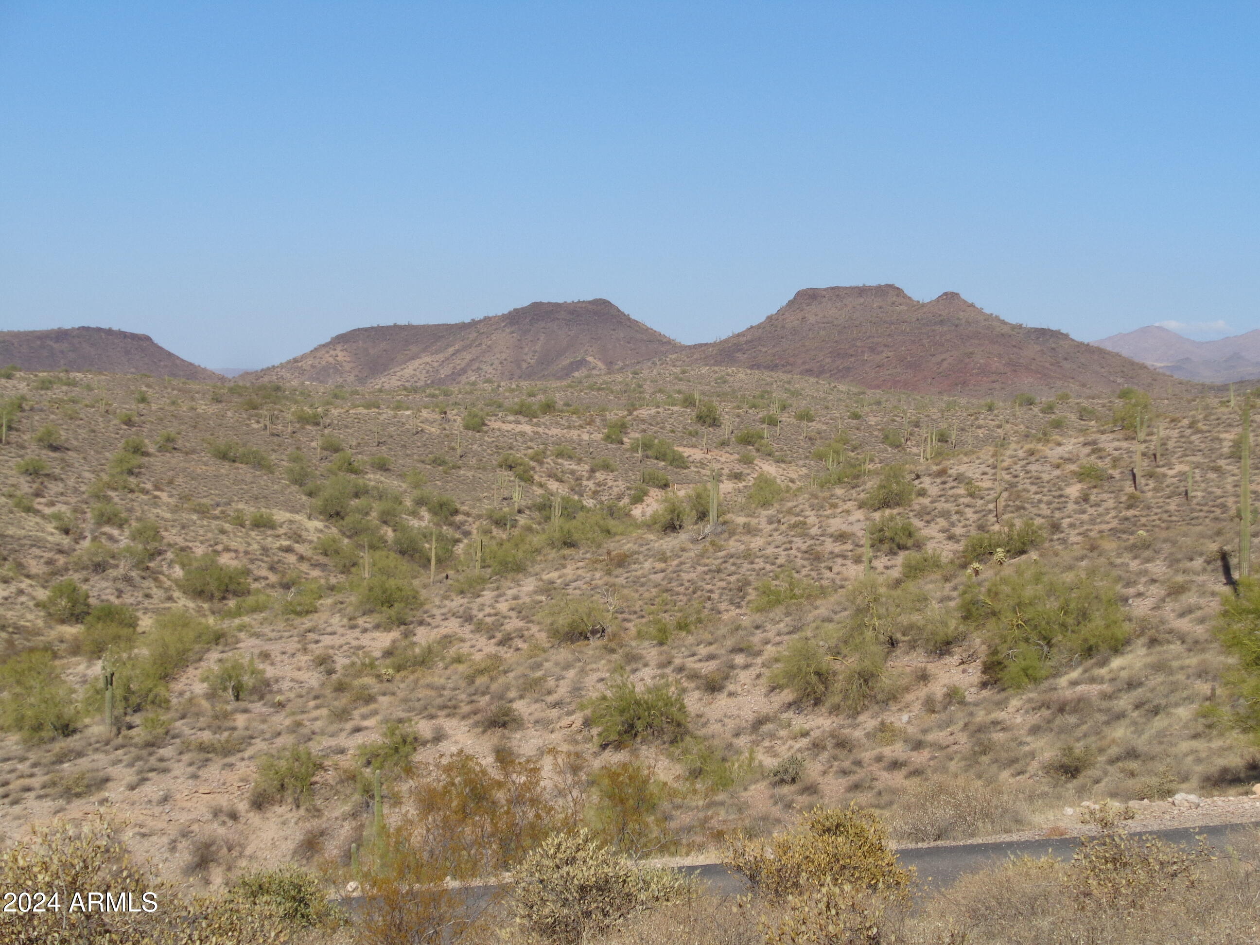 13871 N White Face Canyon Drive Property Photo 9